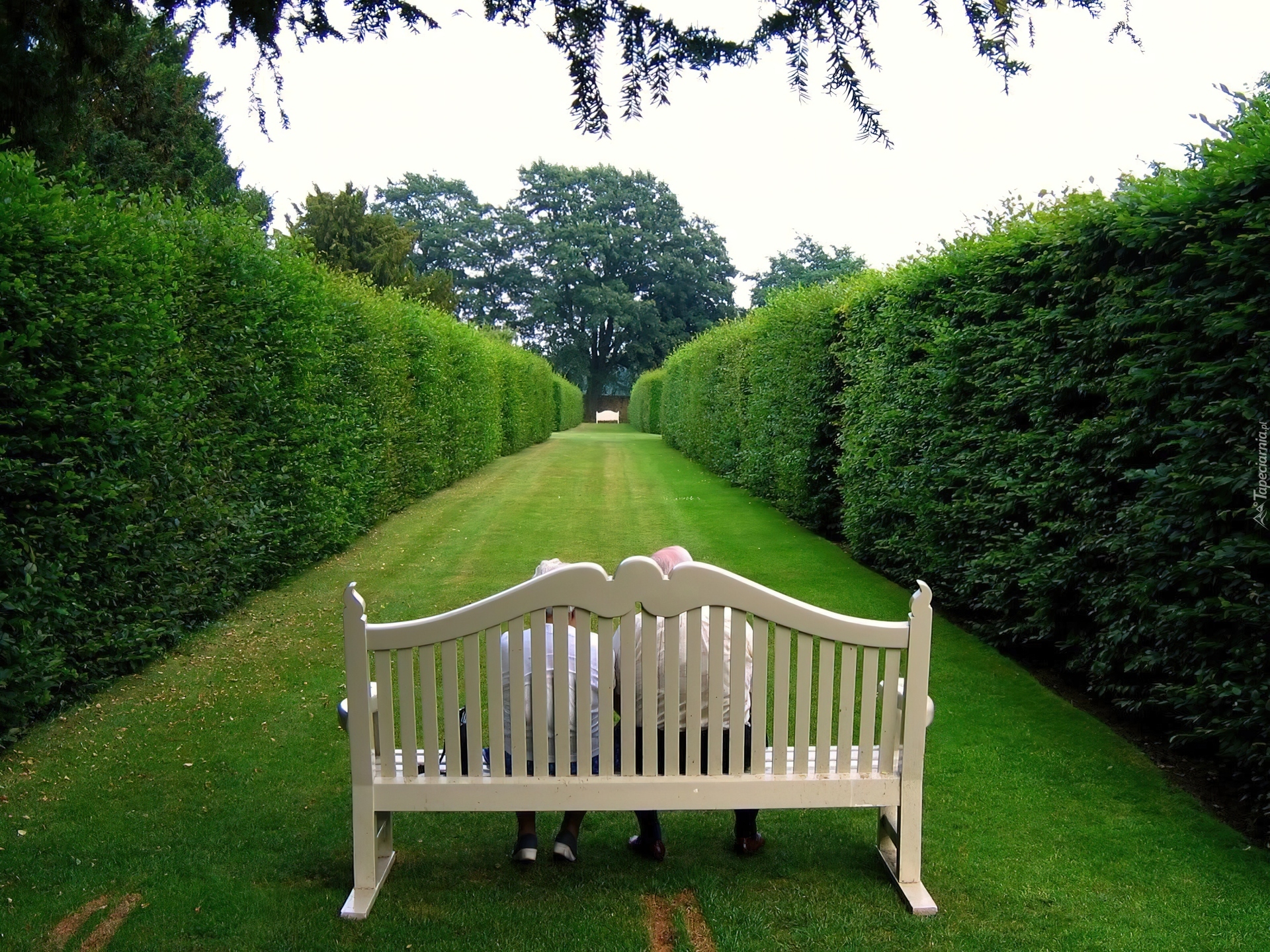 Park, Ławeczka