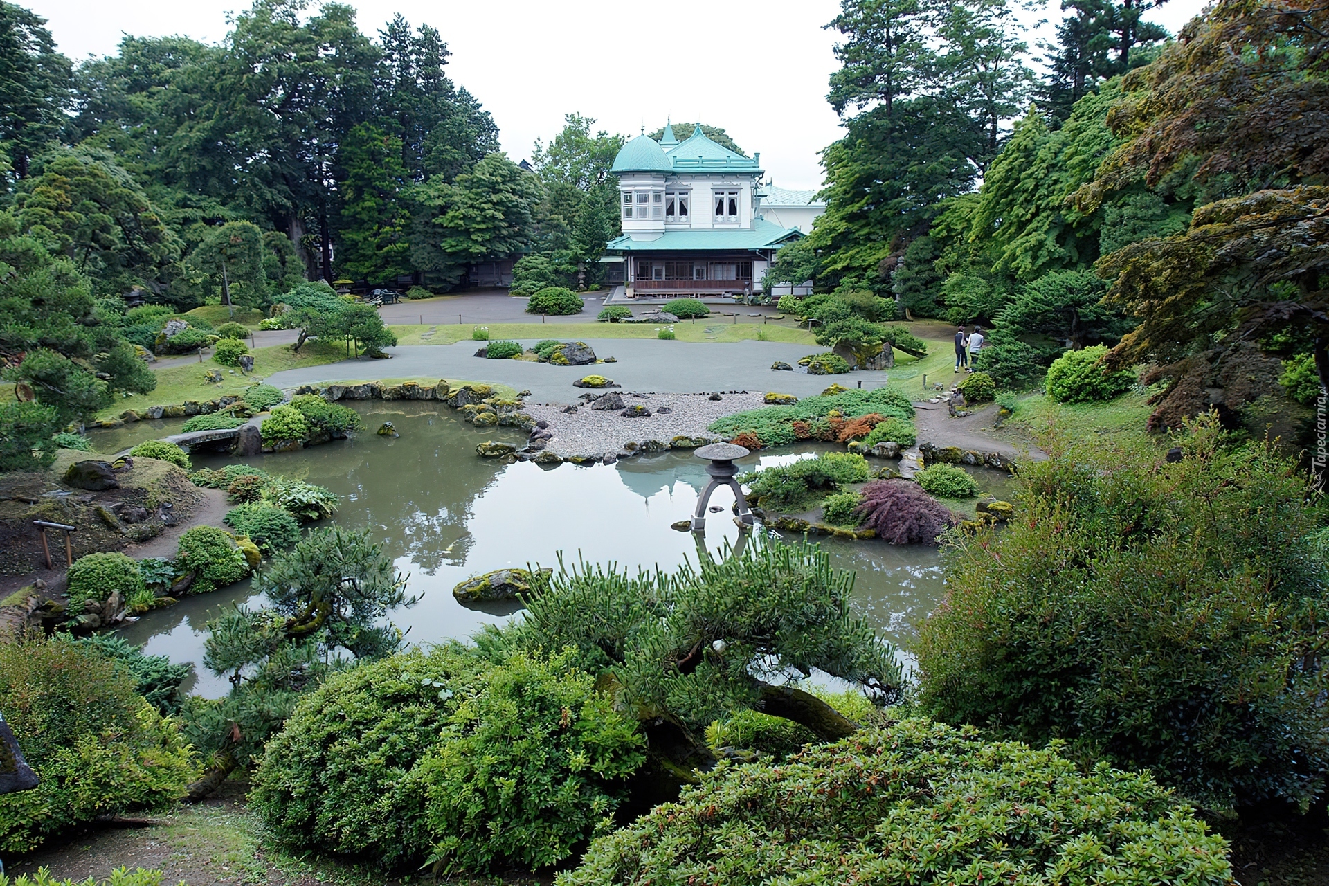 Ogród, Japoński Domek, Zieleń