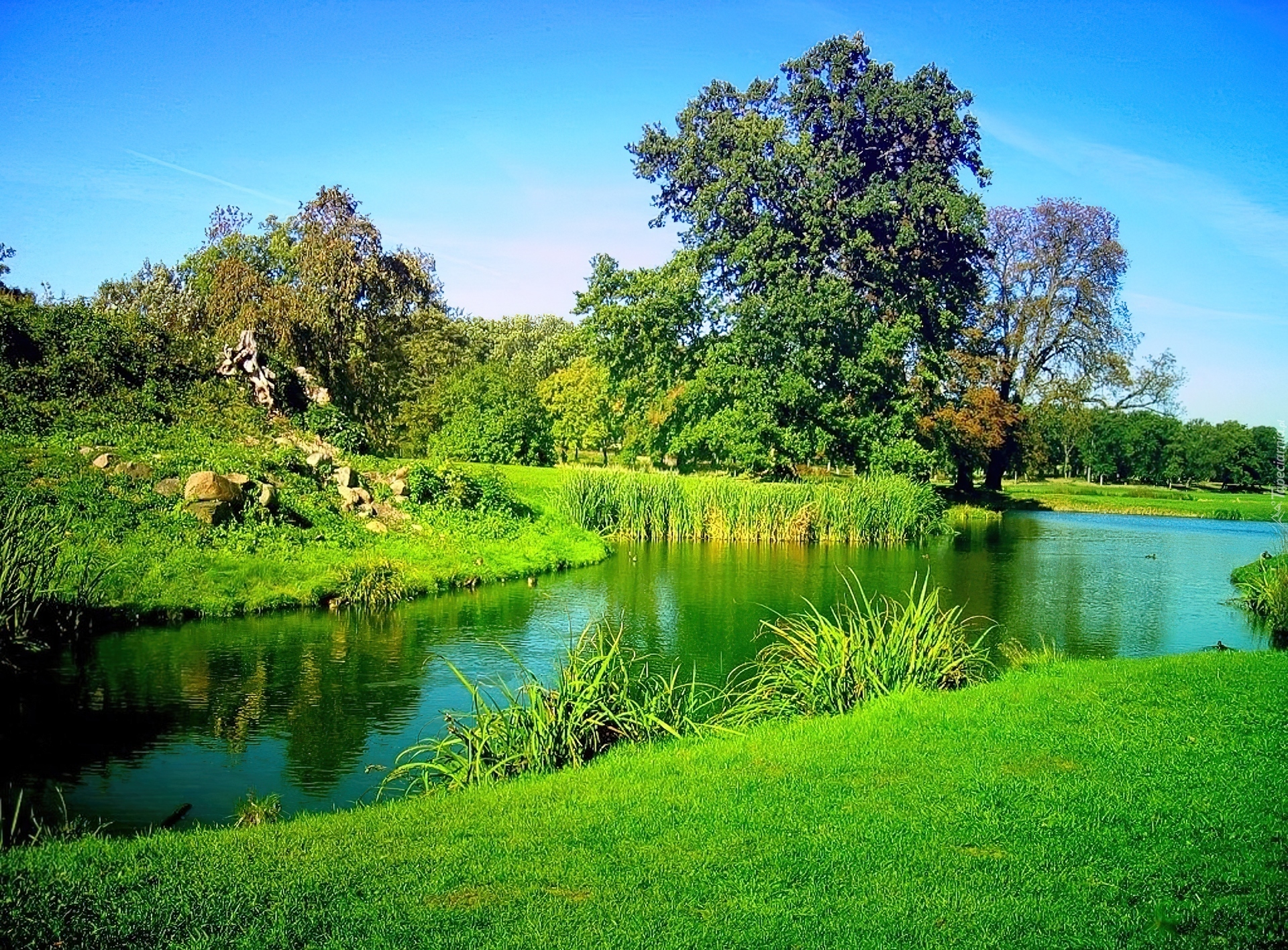 Rzeczka, Park