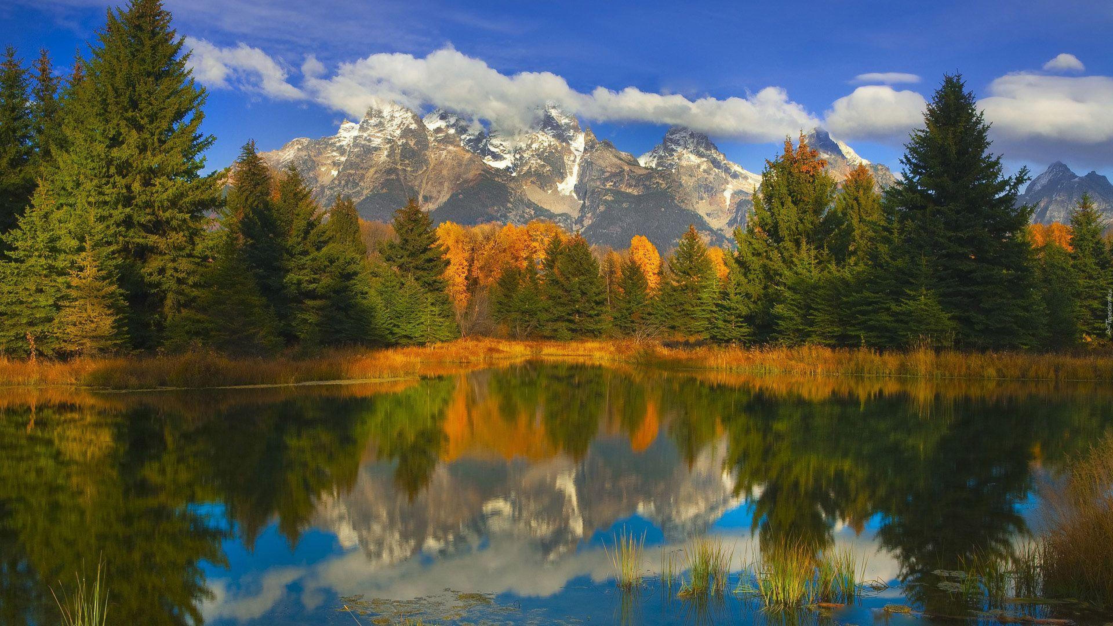 Картинка на обои высокого качества. Гранд Титон осенью. Природа. Природный пейзаж. Красота природы.