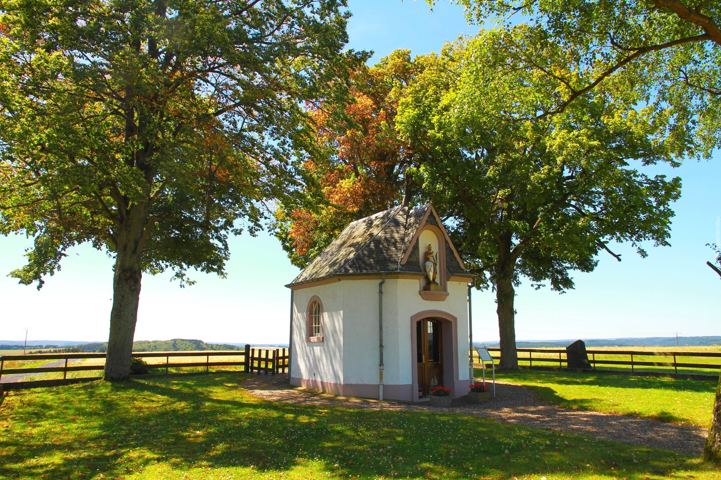 Jesień, Kapliczka, Drzewa