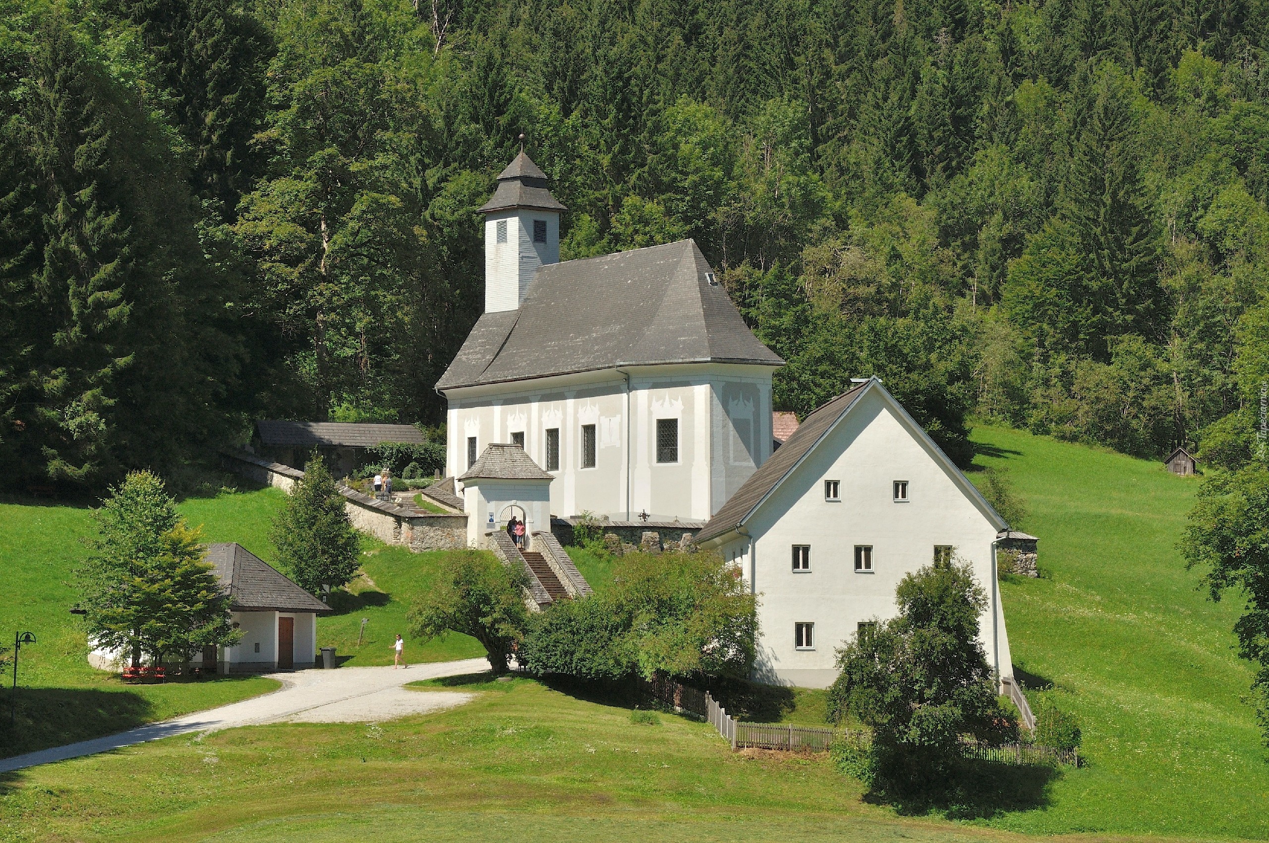 Kościółek, Trawa, Drzewa, Johnsbach, Austria