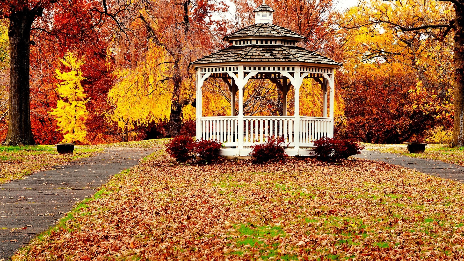 Park, Altana, Jesień