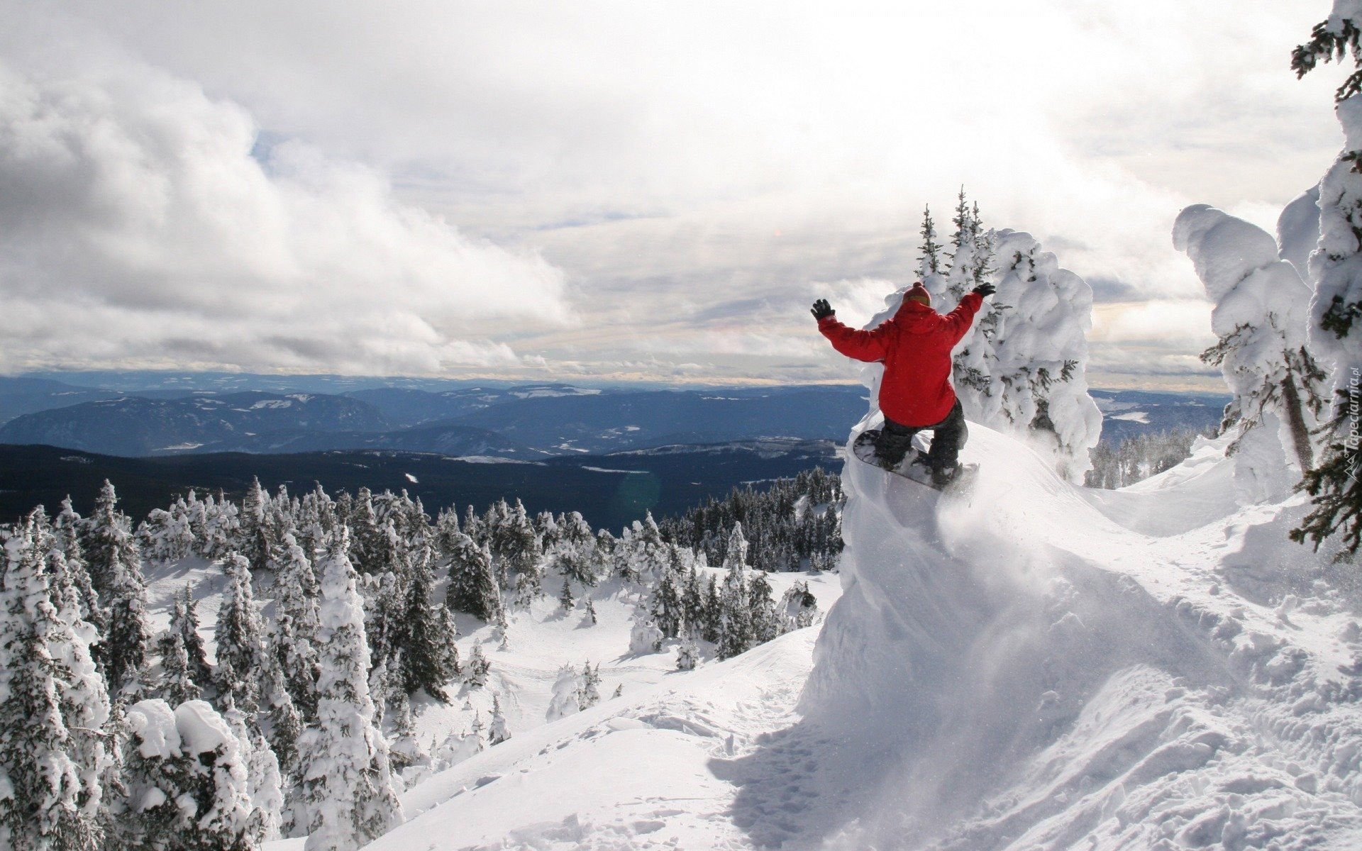 Snowboarding, Ośnieżone, Góry, Śnieg, Las