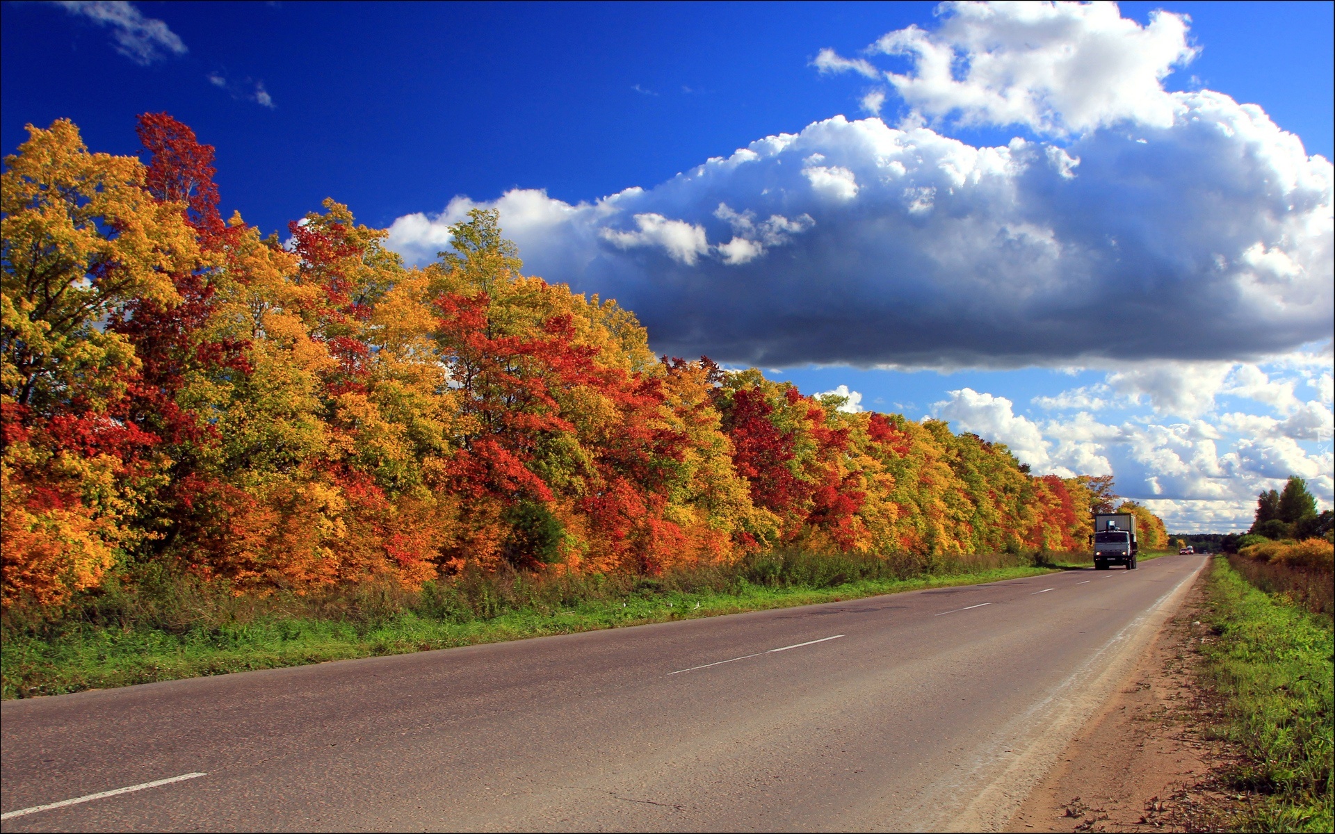 Droga, Drzewa, Chmury, Jesień