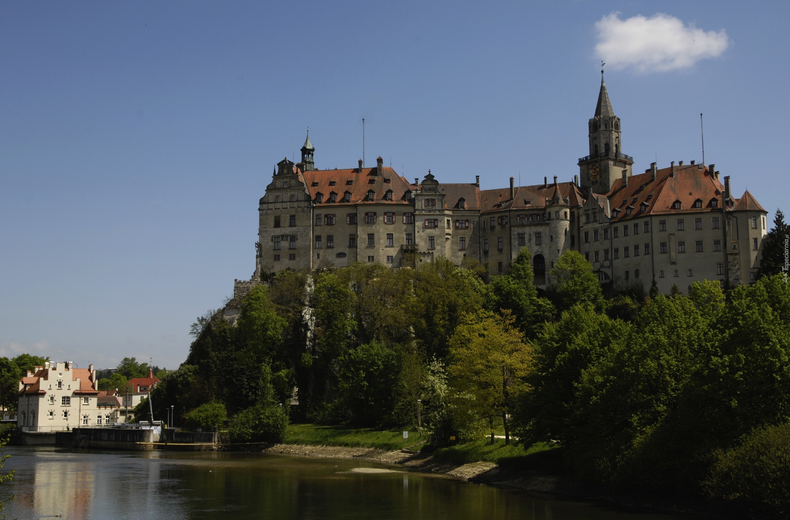 Zamek, Sigmaringen, Niemcy, Drzewa, Woda