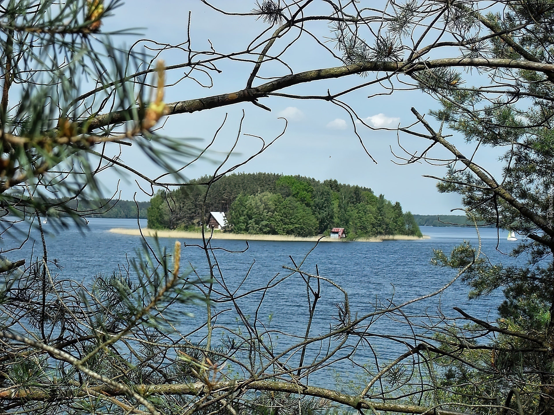 Jezioro, Wyspa, Las, Domek, Drzewa