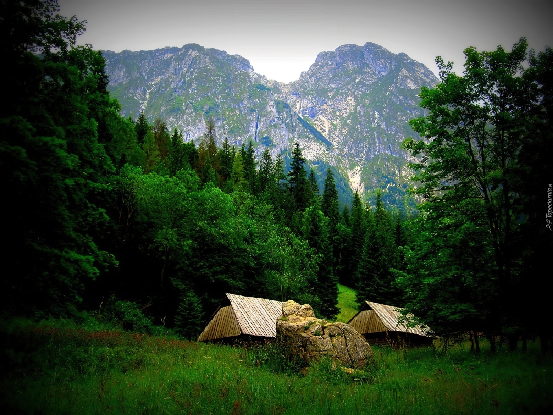 Krajobraz, Góry, Tatry, Dolina, Strążyska, Szałasy, Las