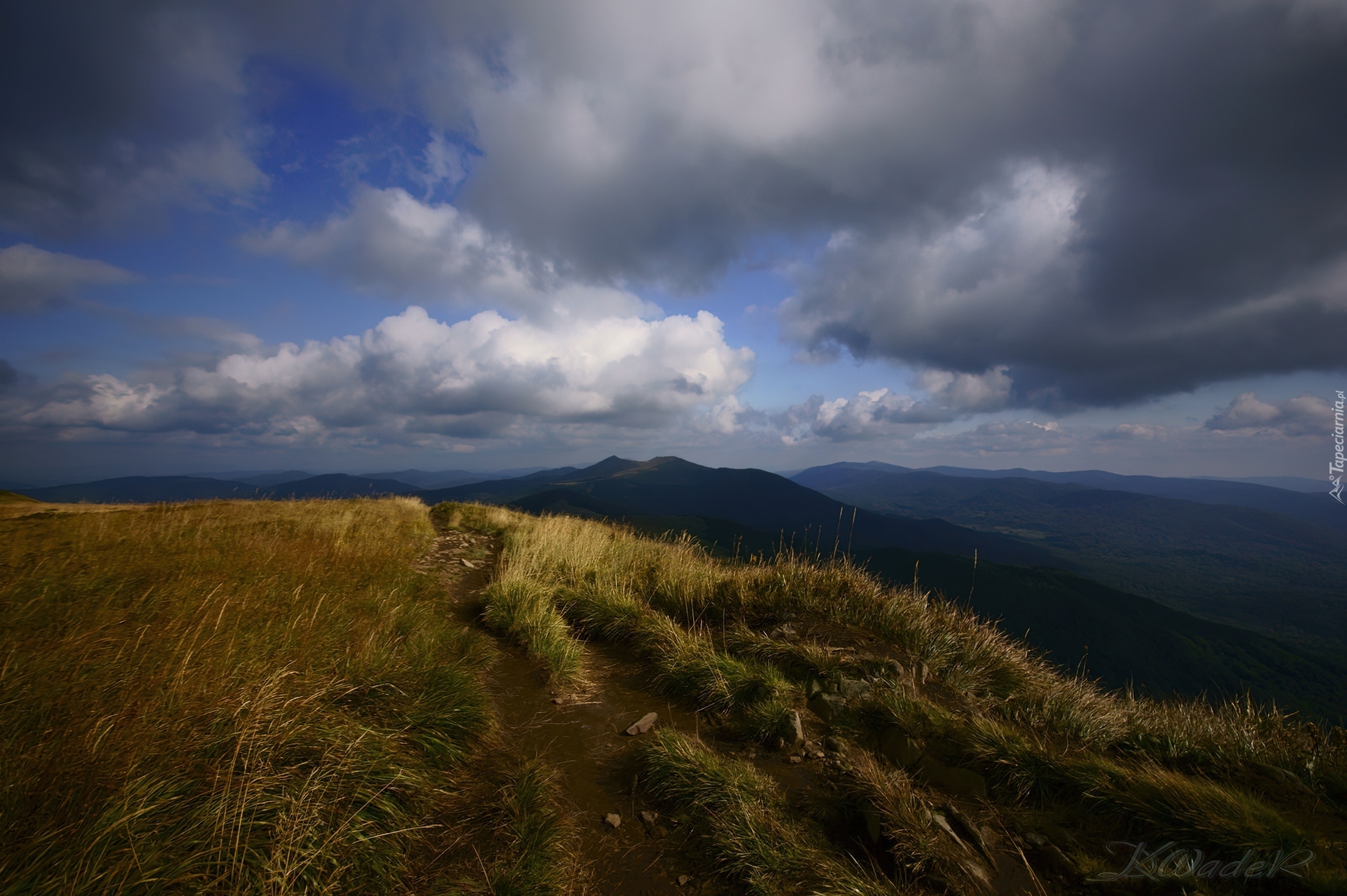 Bieszczady, Góry, Trawa, Chmury