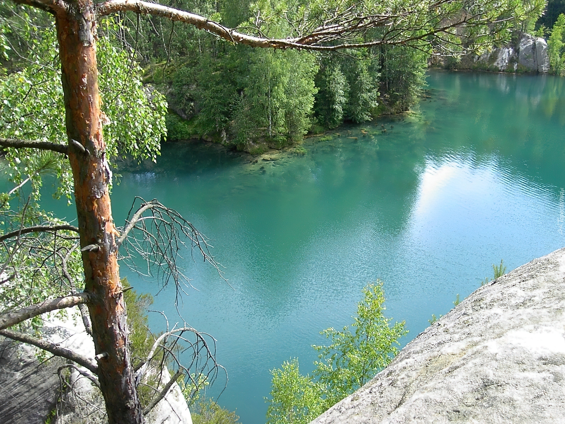 Jezioro, Skały, Drzewa, Adrspach, Czechy