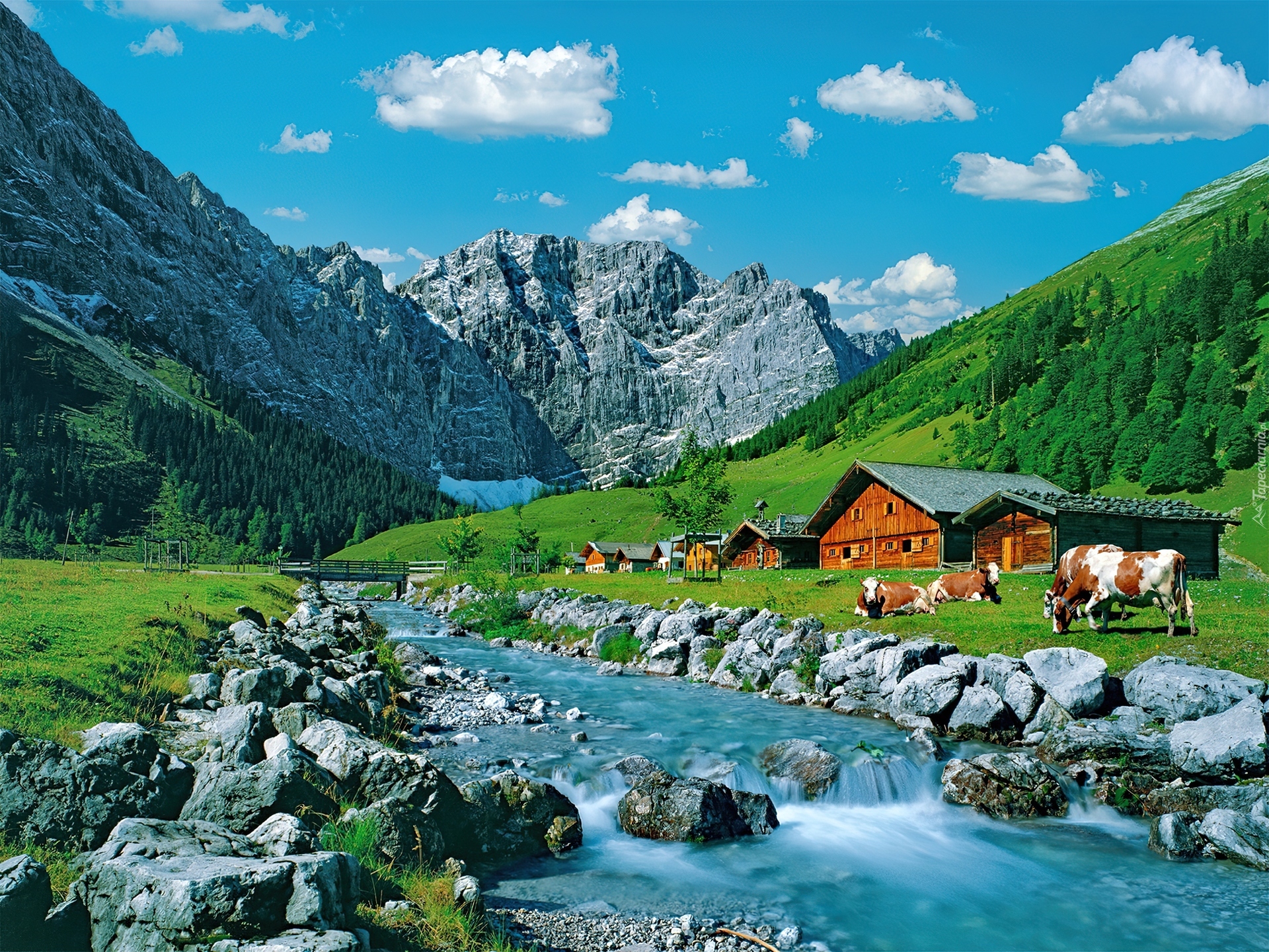 Австр. Австрия горы Альпы. Озеро Brienz Швейцария. Долина Розенлау Швейцария. Альпийская Долина Австрия.