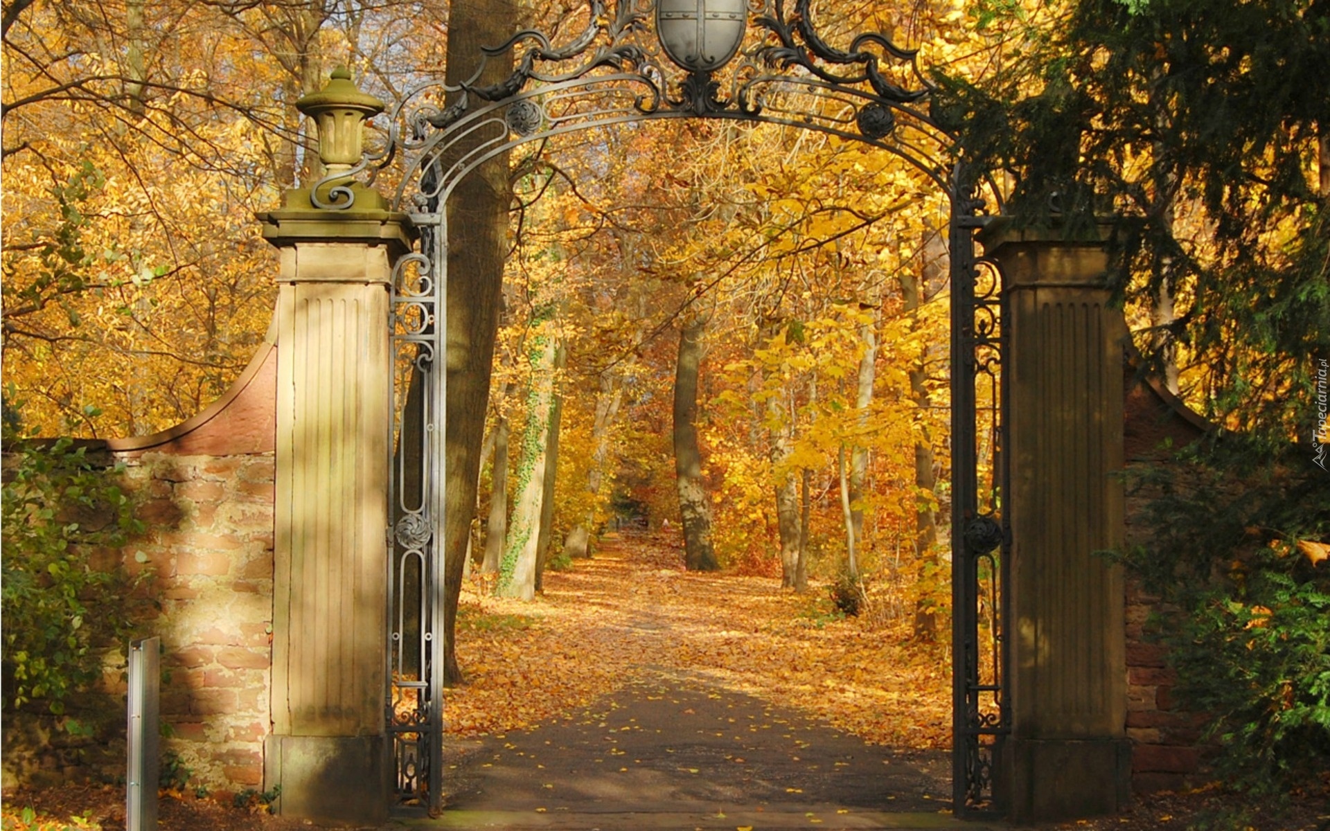 Park, Drzewa, Liście, Brama, Jesień