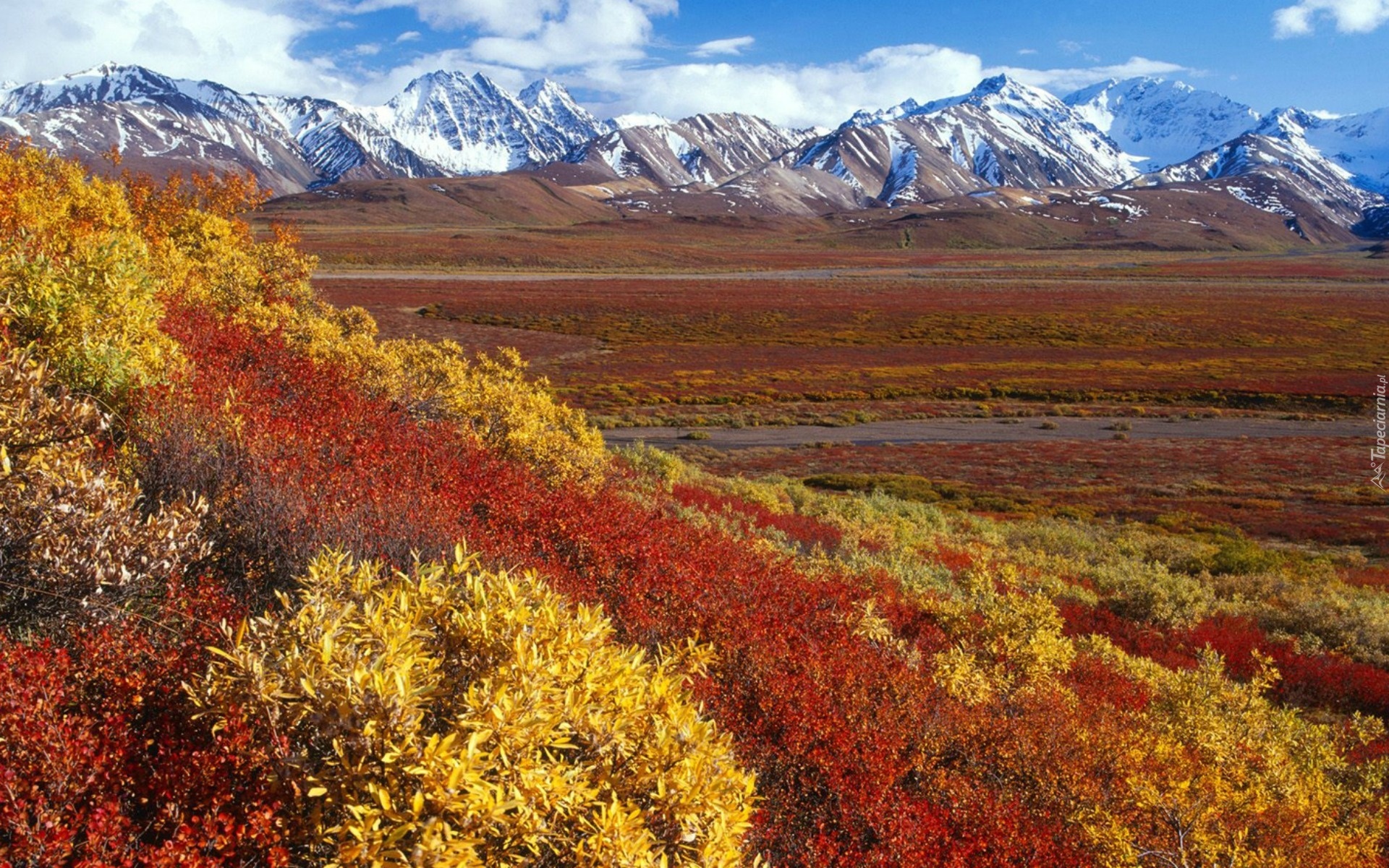 Alaska Range, Ruth Amphitheater, Alaska бесплатно