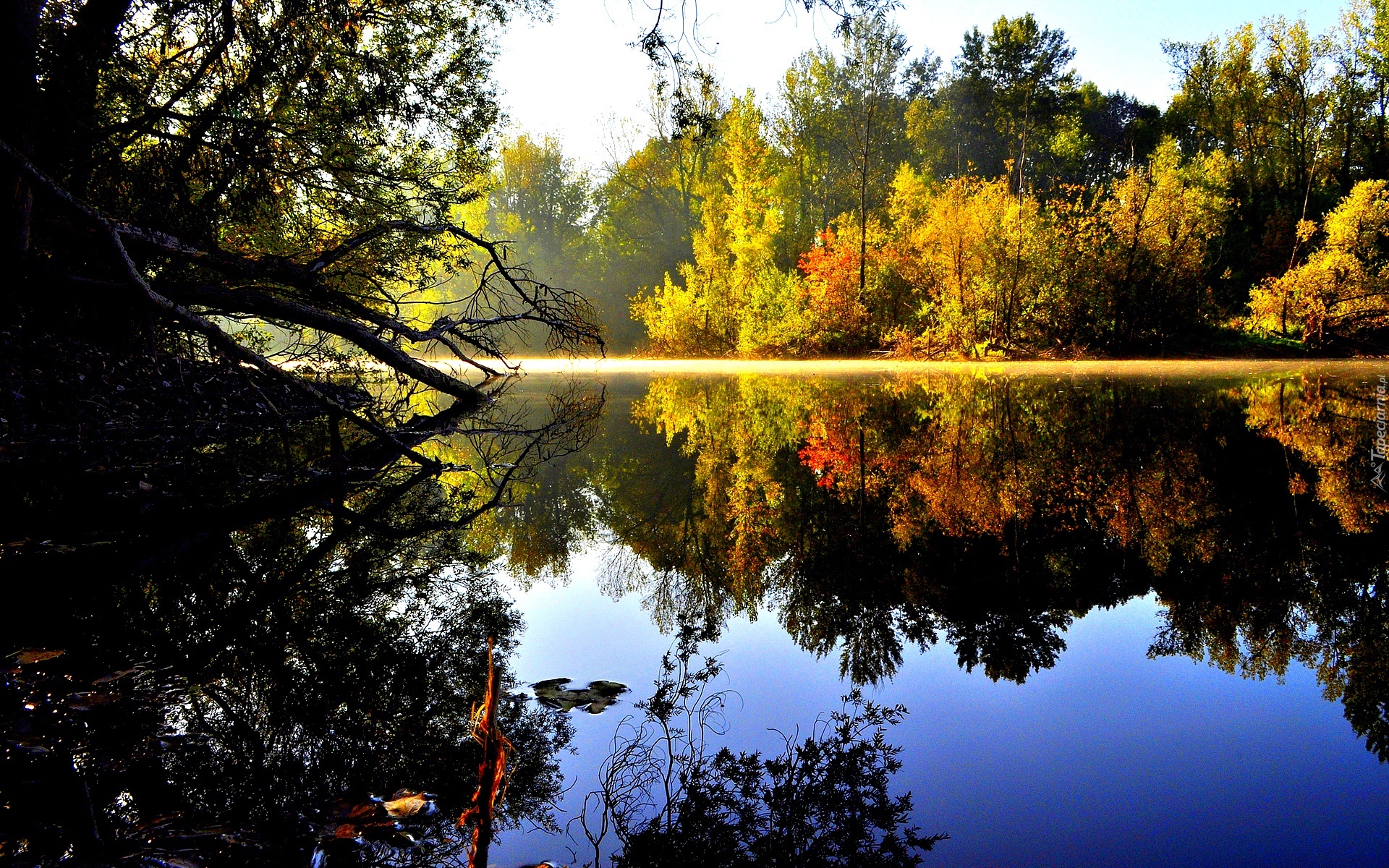 Jesień, Jezioro, Las, Odbicie