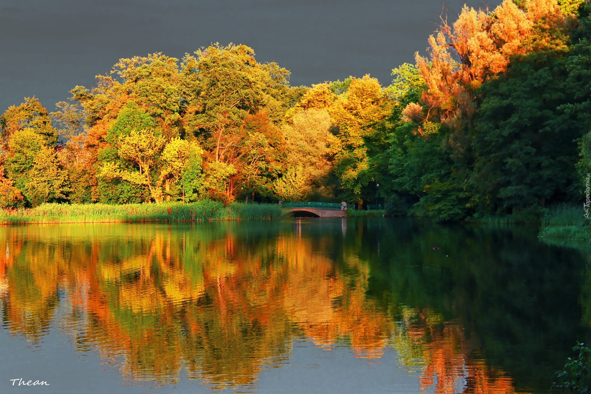 Jezioro, Drzewa, Mostek, Odbicie