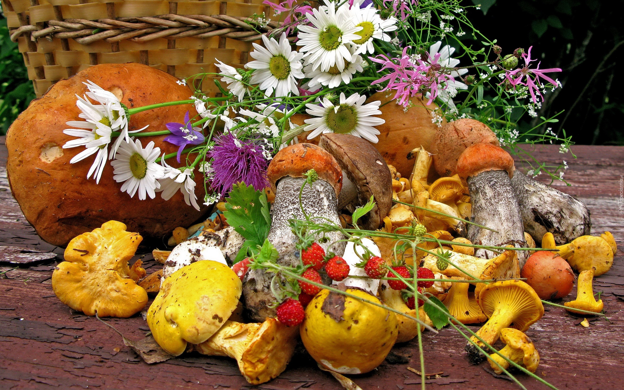 Лето грибами осень плодами. Дары осени. Осенние дары природы. Осенние дары леса. Натюрморт на природе.