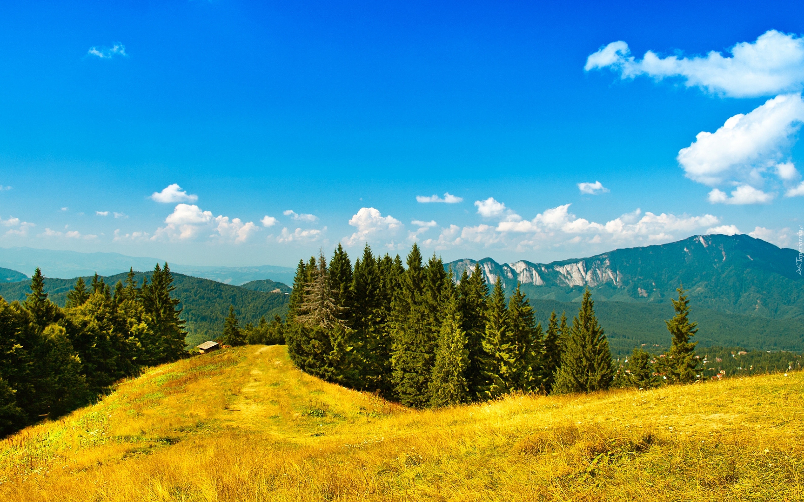 Góry, Lasy, Jesień