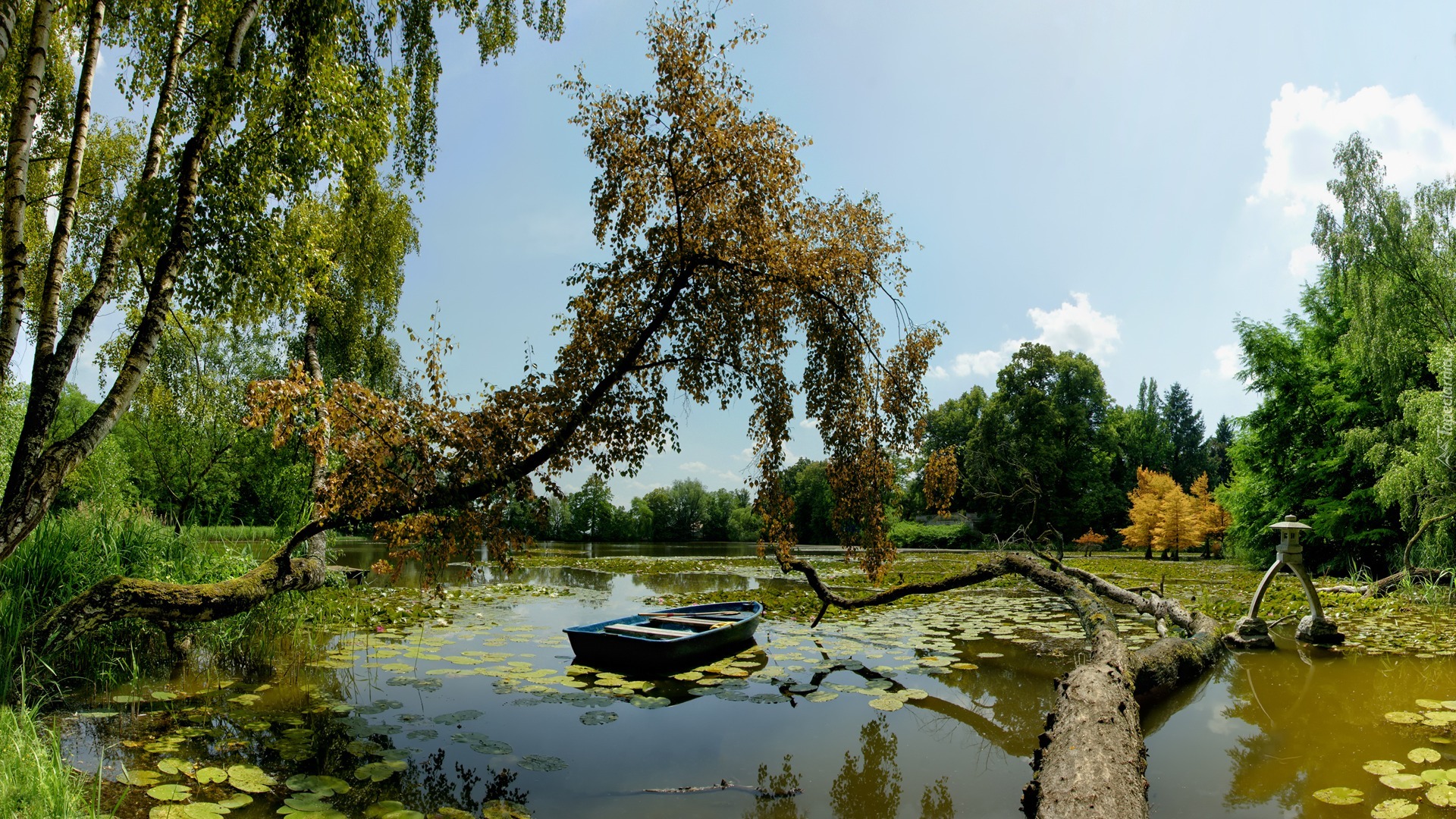 Jezioro, Drzewa, Jesień