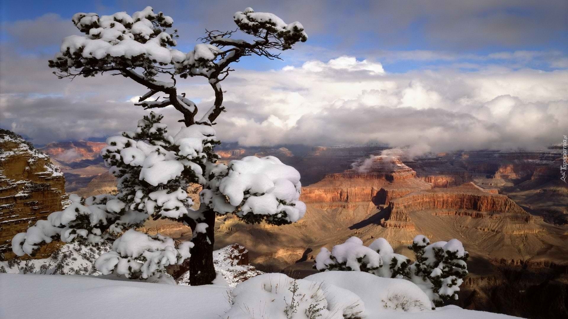 Kanion, Drzewo, Śnieg, Zima