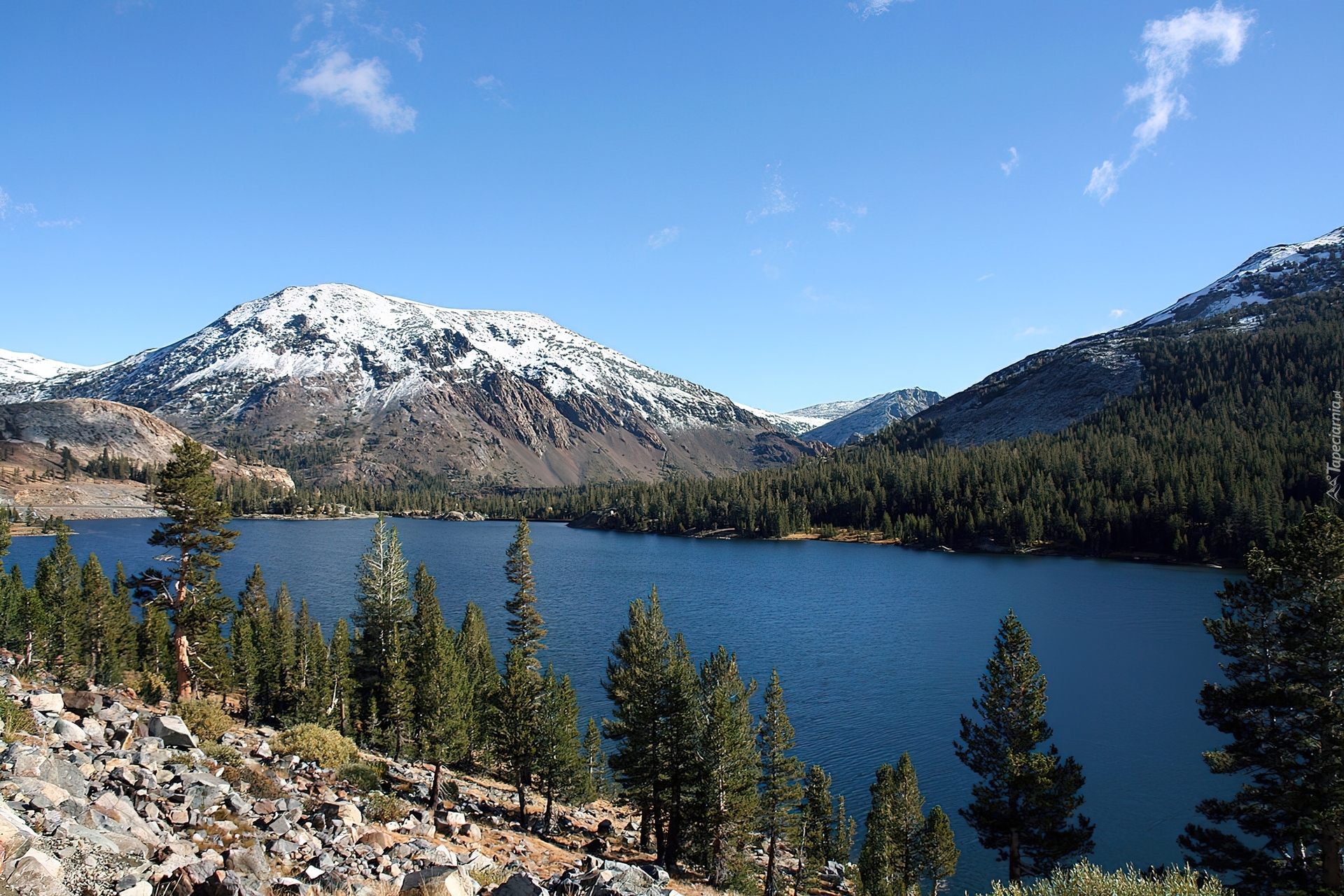 Stany Zjednoczone, Stan Kalifornia, Park Narodowy Yosemite, Jezioro, Drzewa, Góry