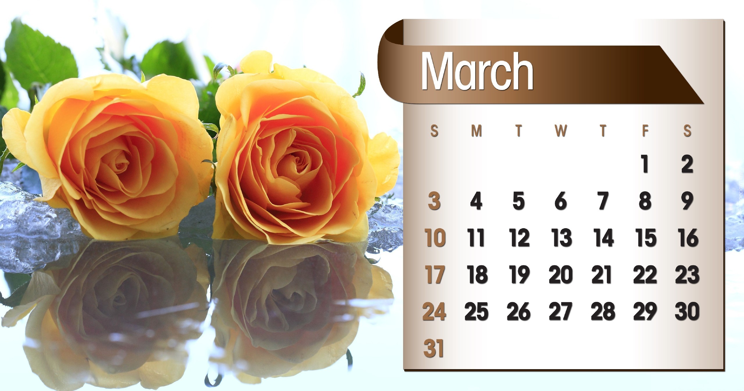 Kalendarz, Róże, Marzec, 2013r