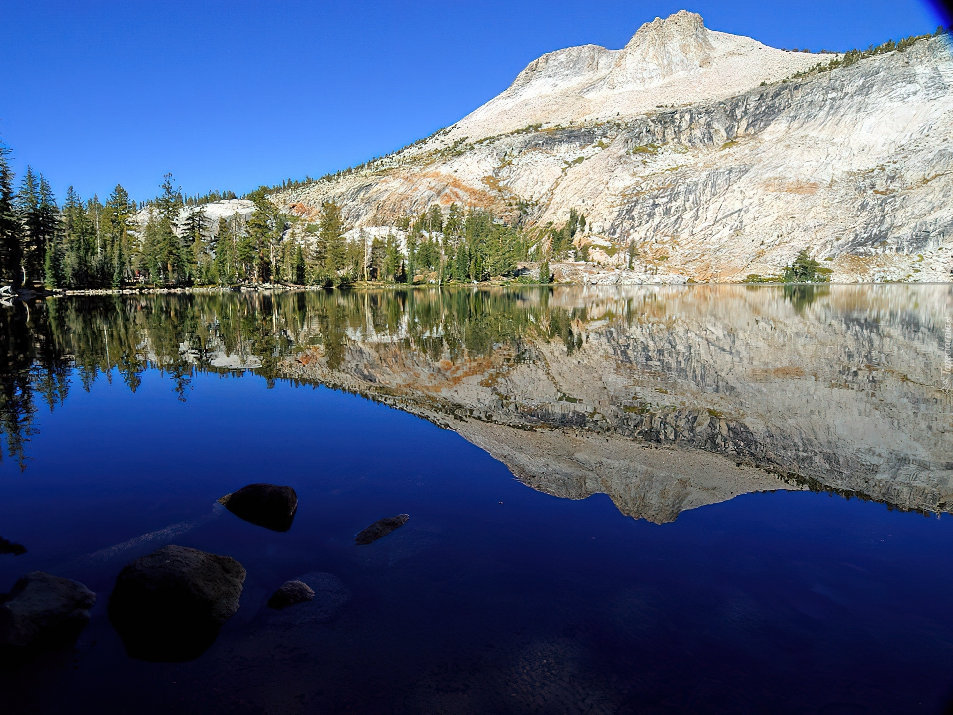 Stany Zjednoczone, Stan Kalifornia, Park Narodowy Yosemite, Jezioro Yosemite Lake, Góry, Drzewa