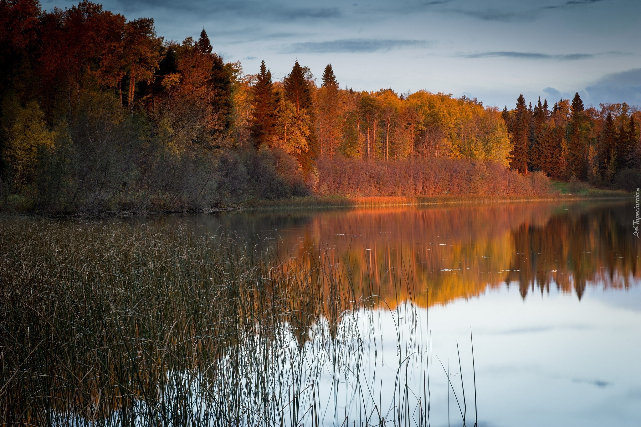 Jezioro, Lasy, Jesień