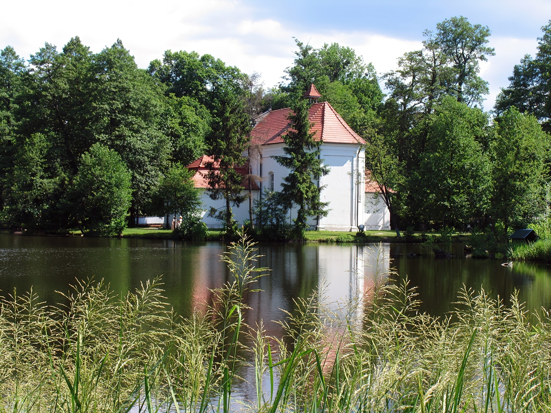 Kościół, Drzewa, Zwierzyniec, Polska