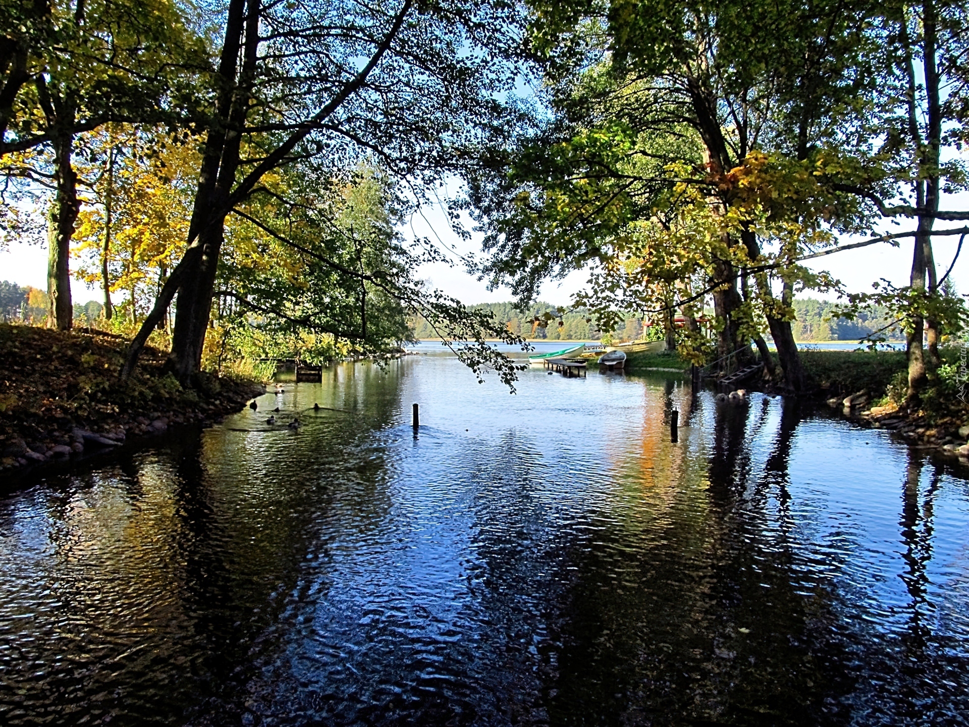 Rzeka, Drzewa, Łódki, Jesień