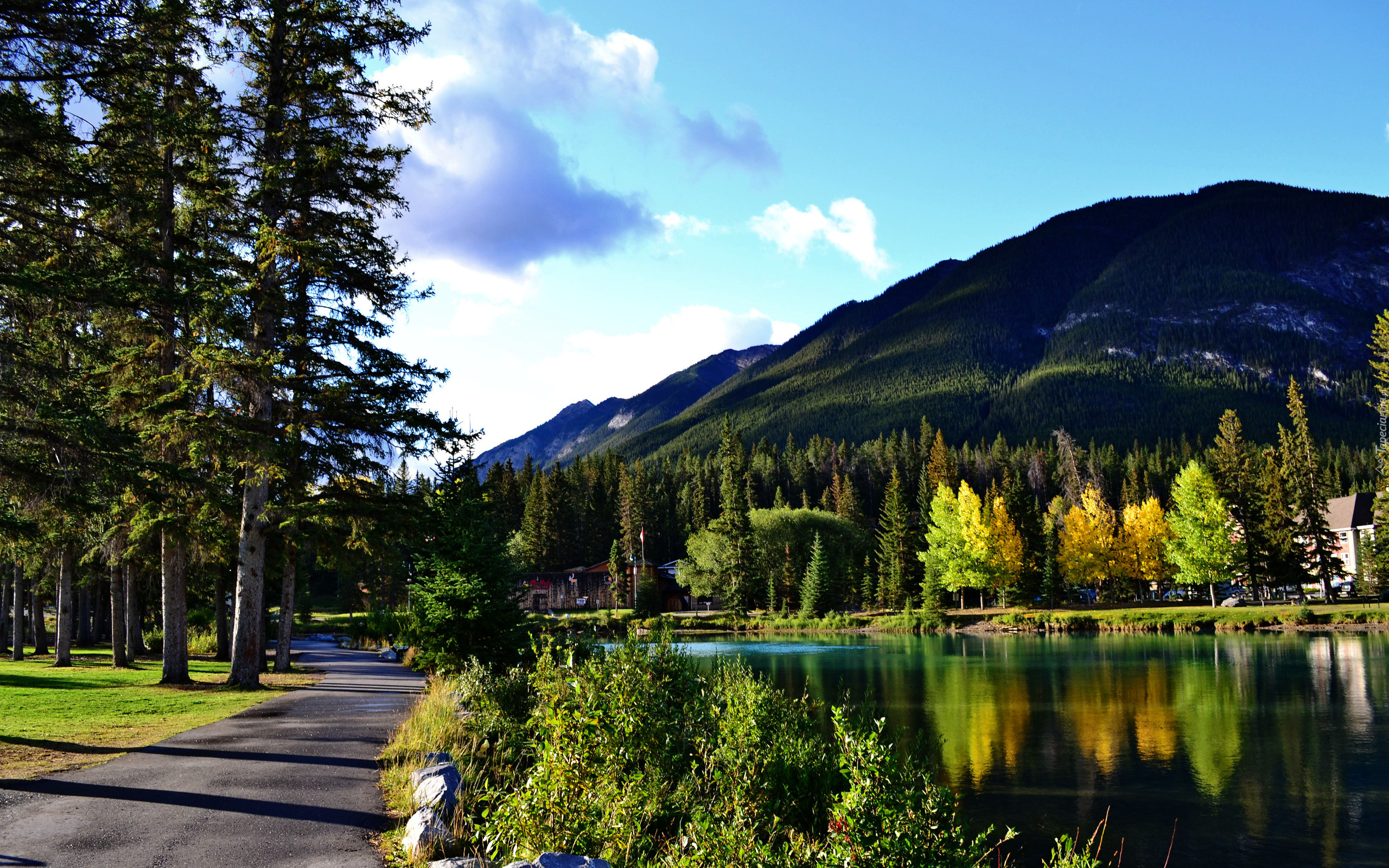 Kanada, Prowincja Alberta, Park Narodowy Banff, Miejscowość Banff, Jezioro, Góry, Drzewa