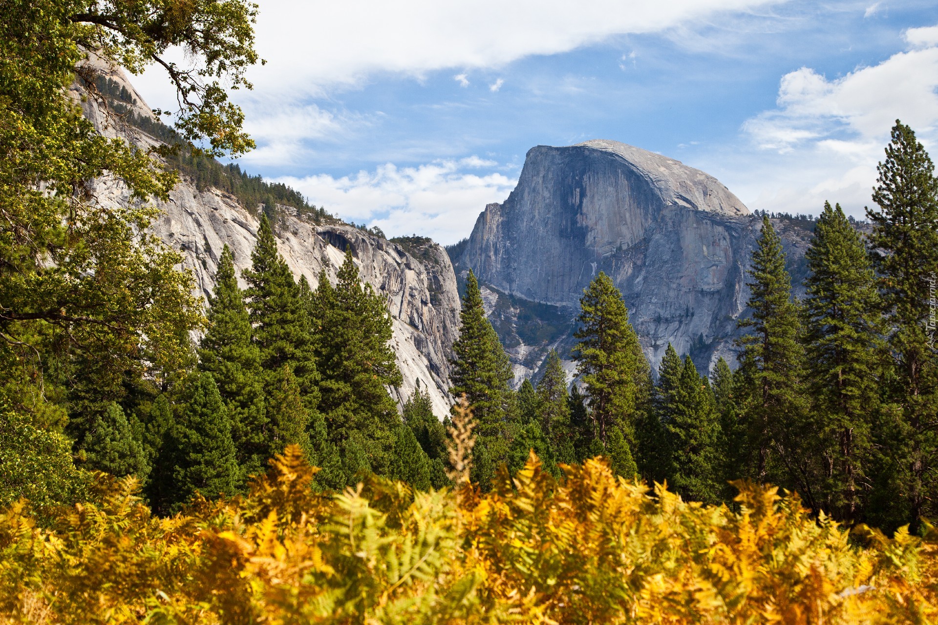 Stany Zjednoczone, Stan Kalifornia, Park Narodowy Yosemite, Jesień, Góry, Drzewa