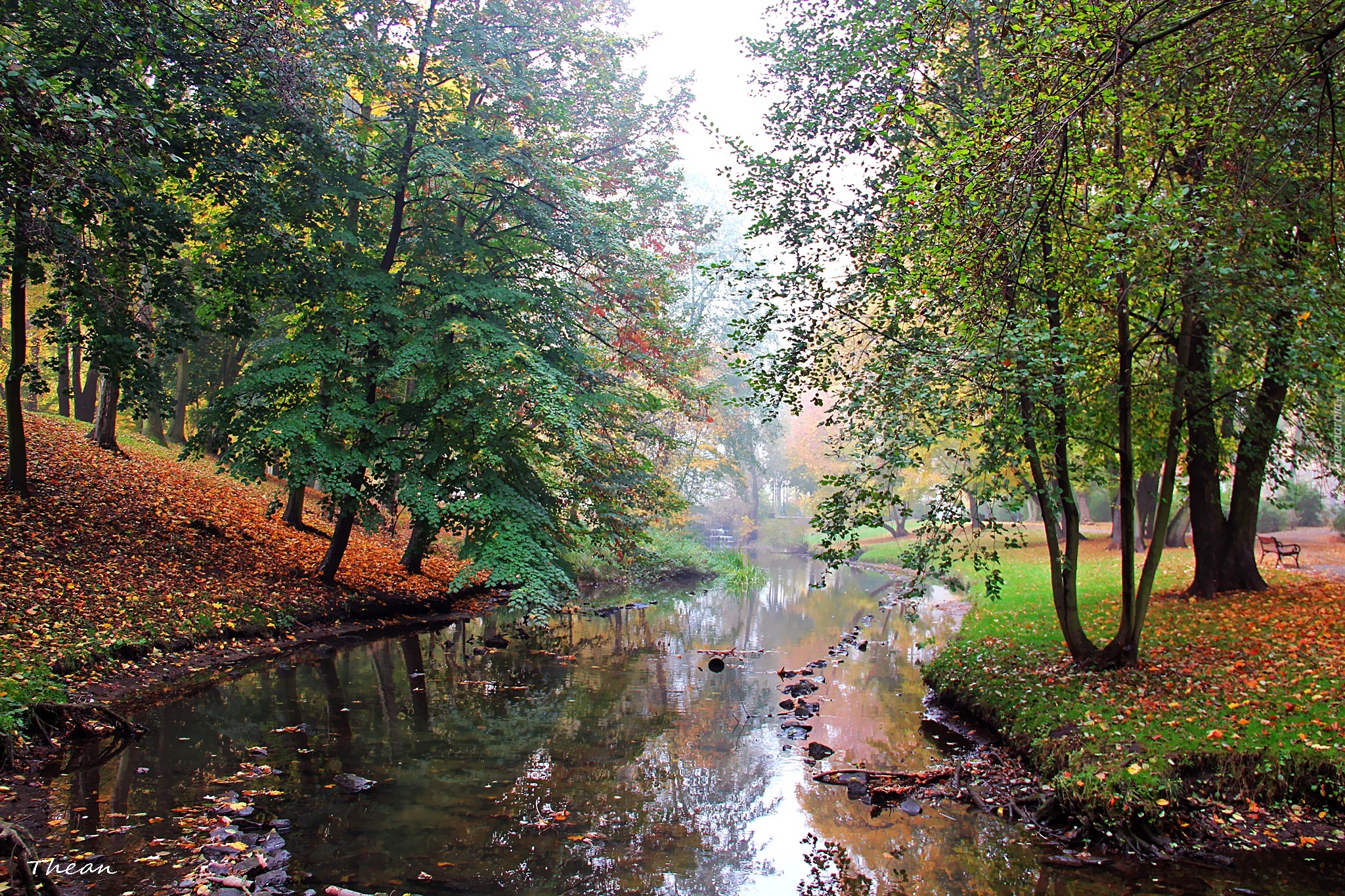 Strumyk, Park, Mgła