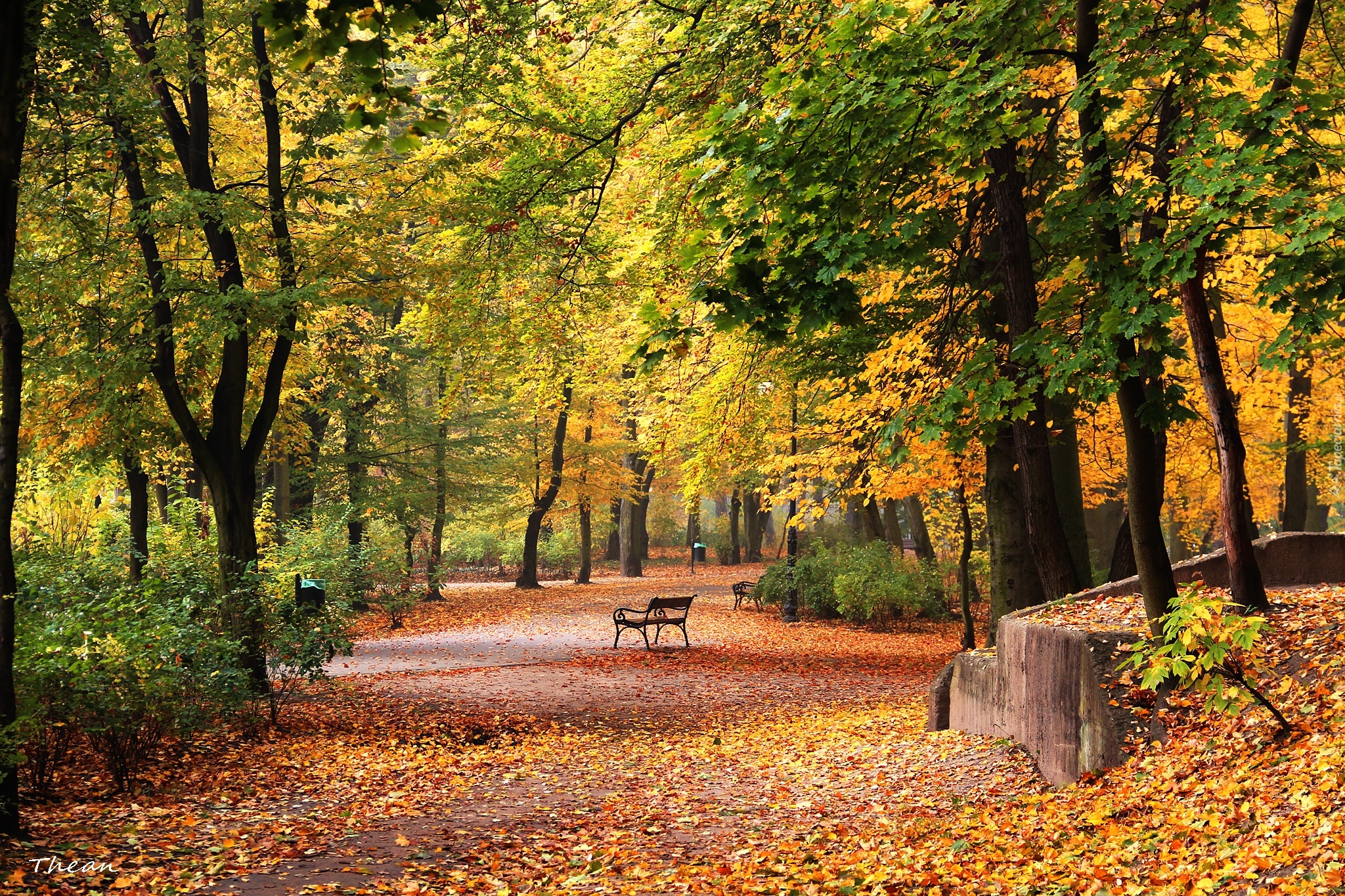 Park, Jesień, Ławki, Aleja