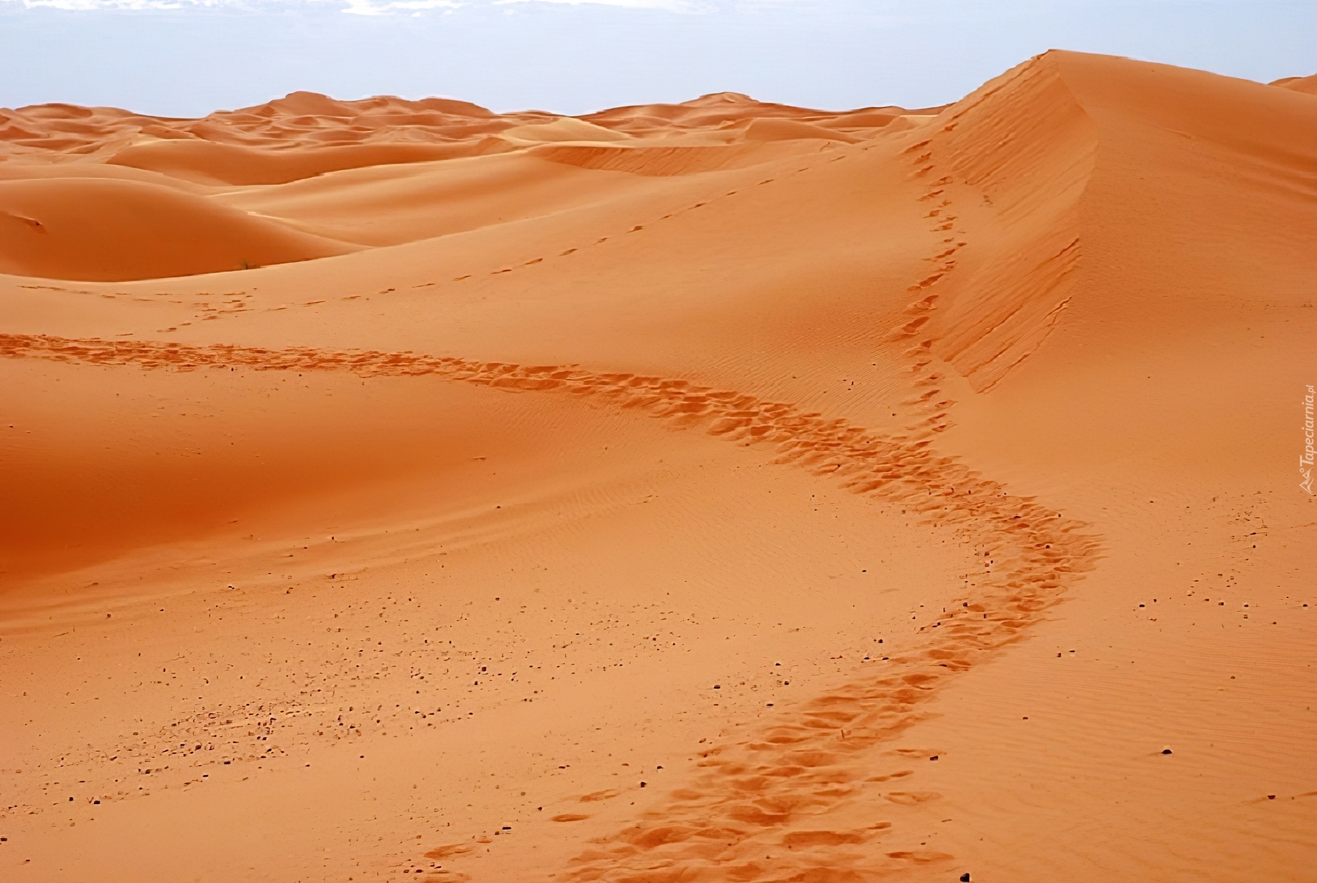 Pustynia, Sahara