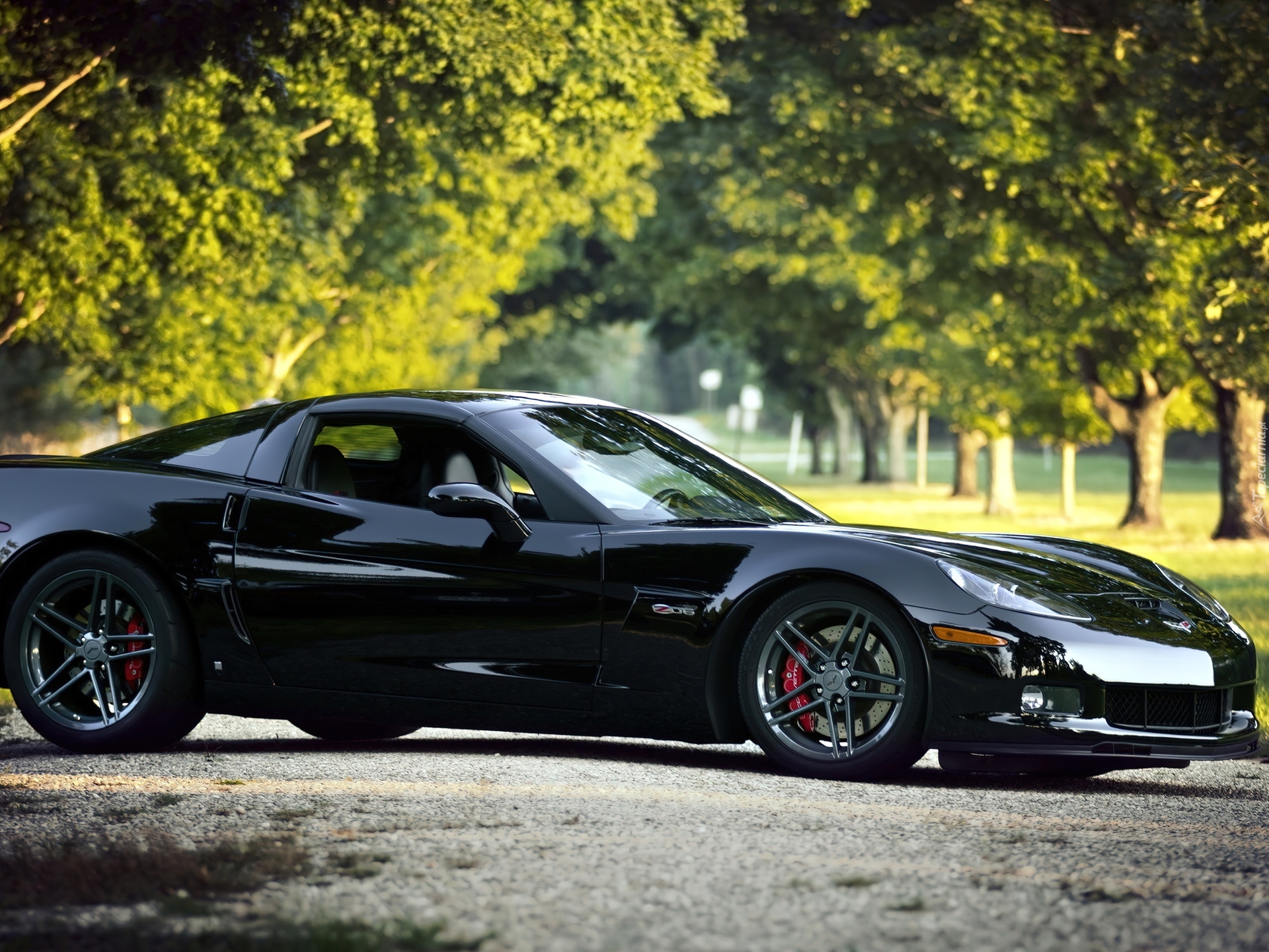 Chevrolet Corvette, Alejka