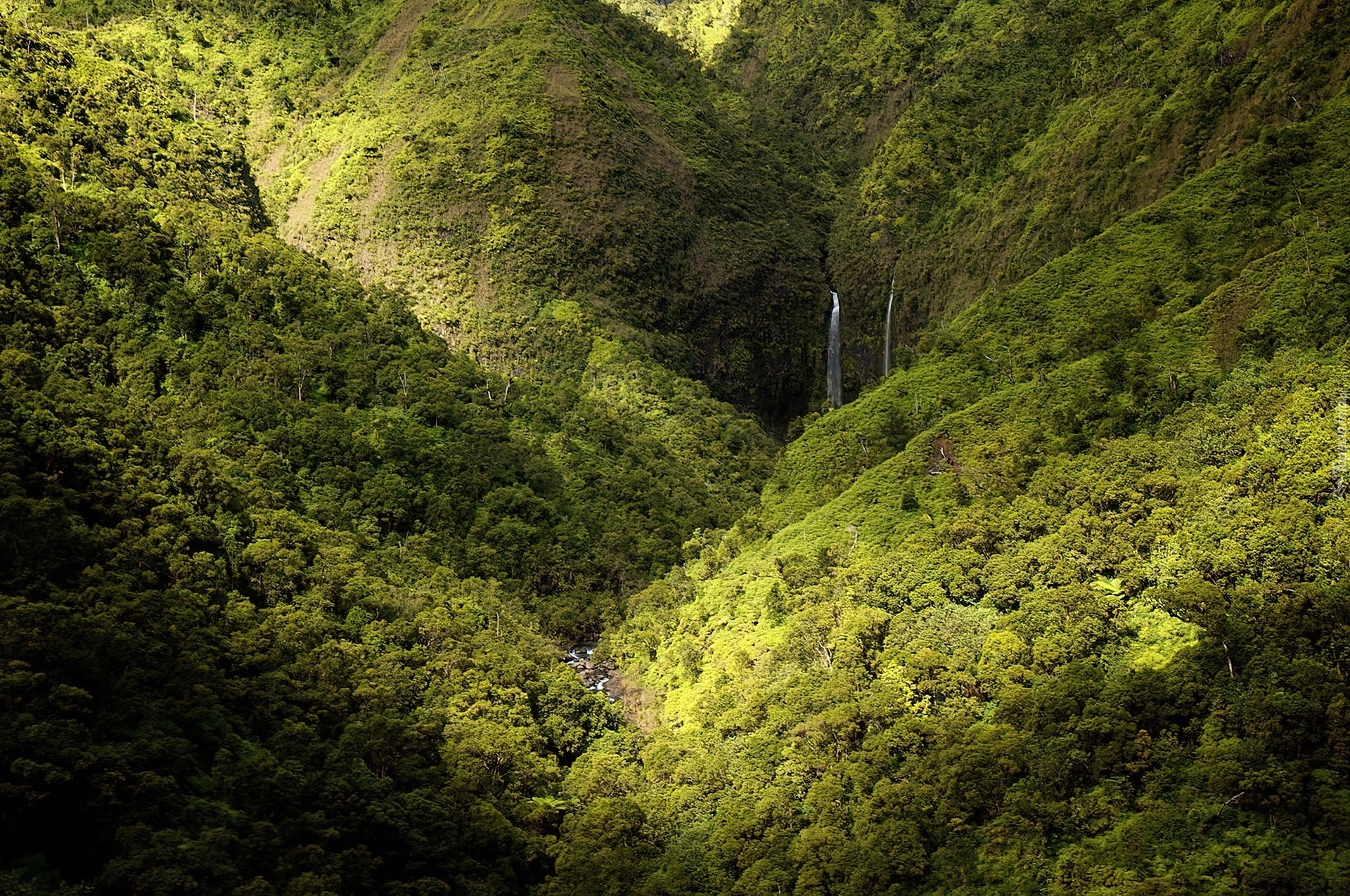 Wodospad, Góry, Las, Kauai, Hawaje