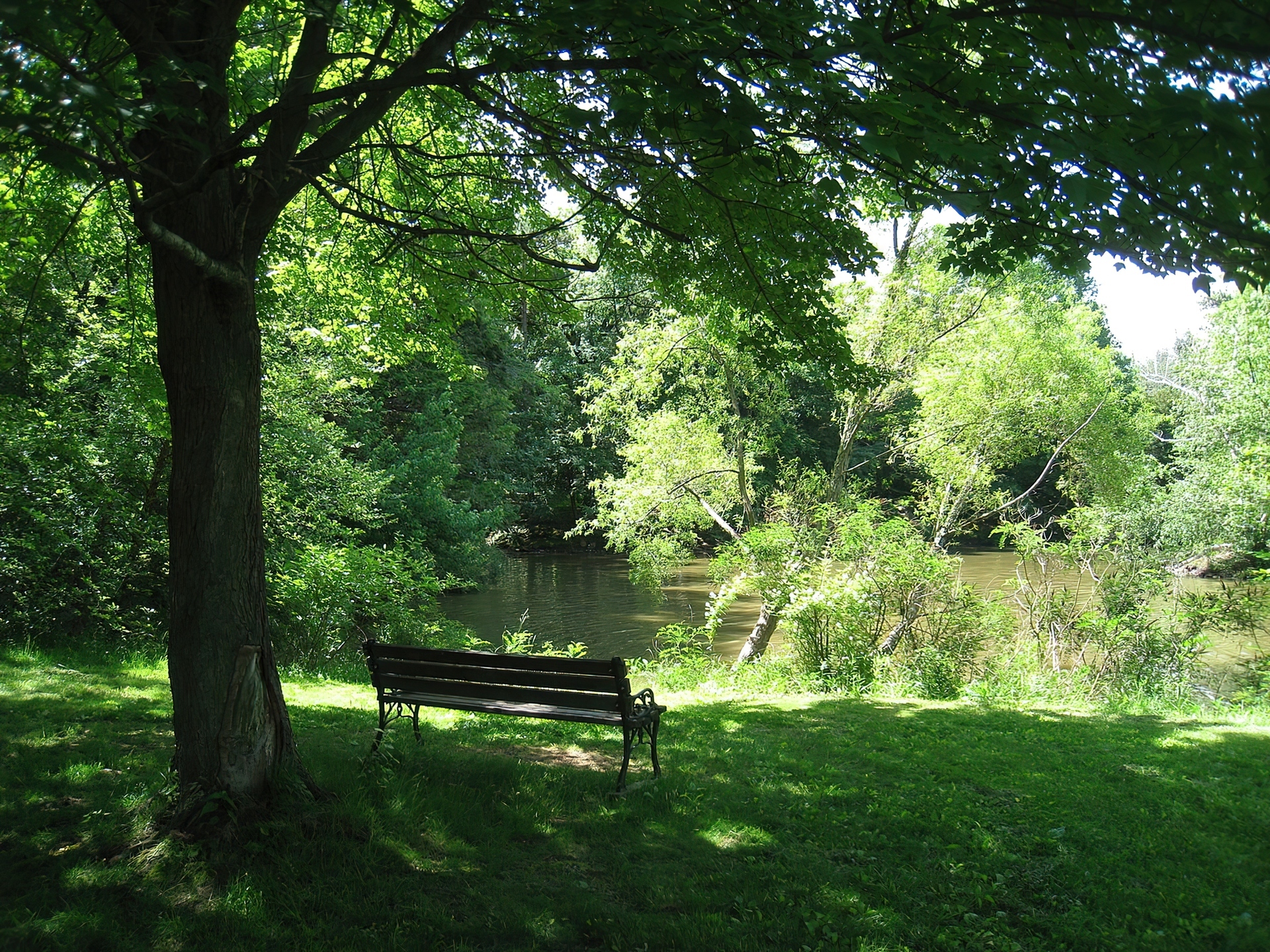 Park, Woda, Ławeczka