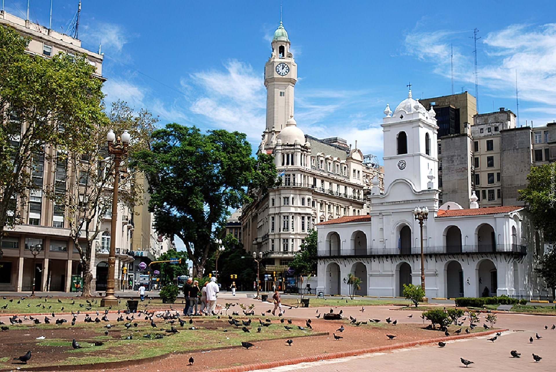 Argentyna, Buenos, Aires, Rynek