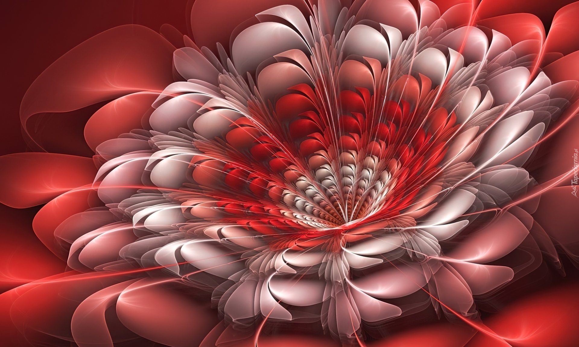Kwiat, Grafika, 3D