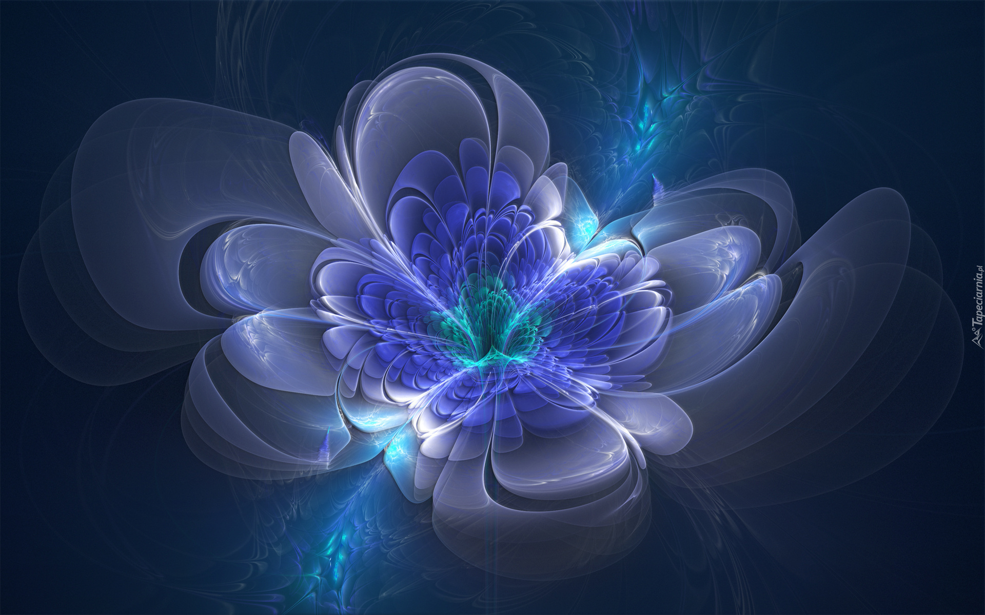 Niebieski, Kwiat, Grafika