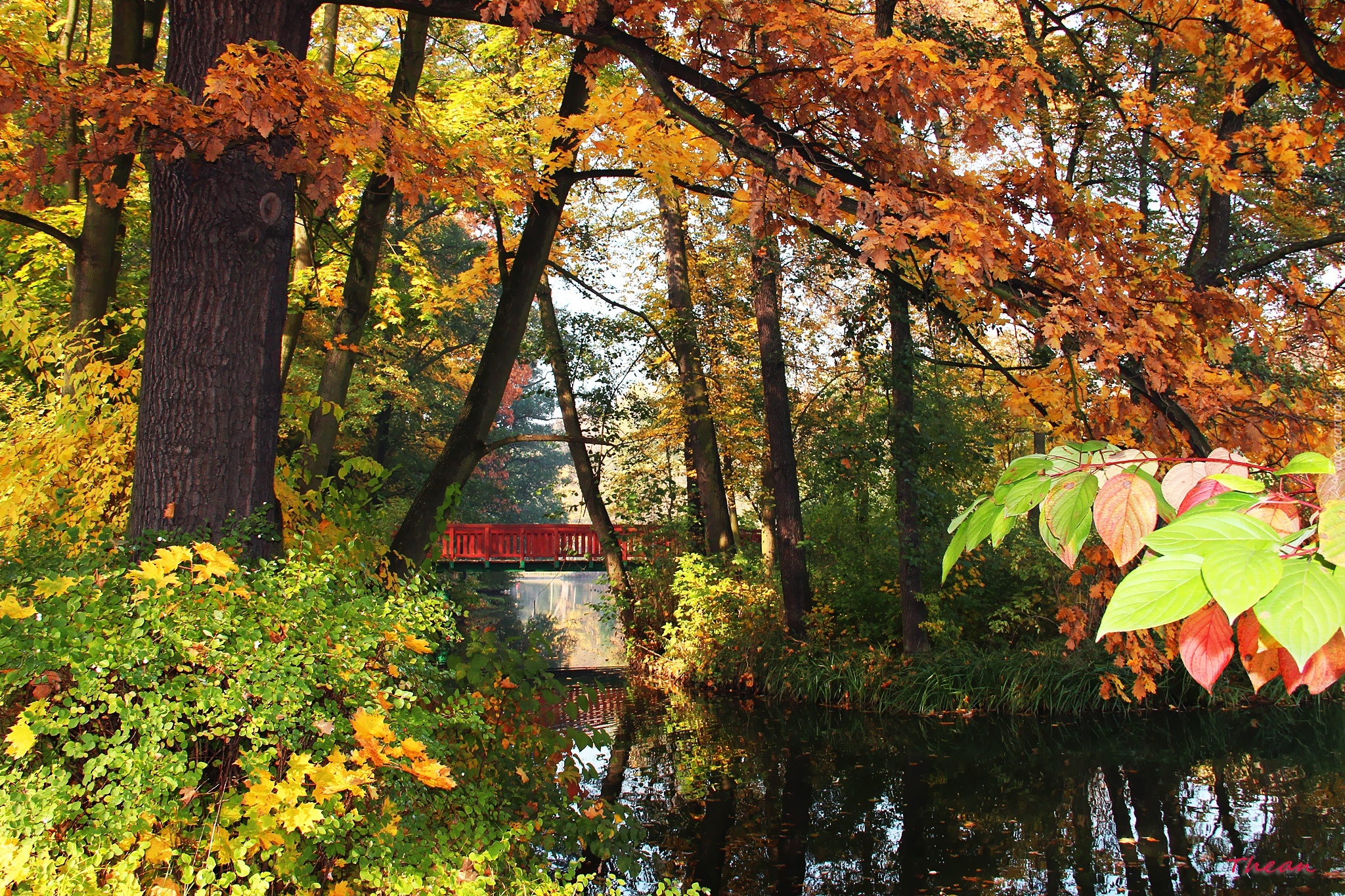 Park, Jesień, Kolorowe, Liście, Most, Jezoro