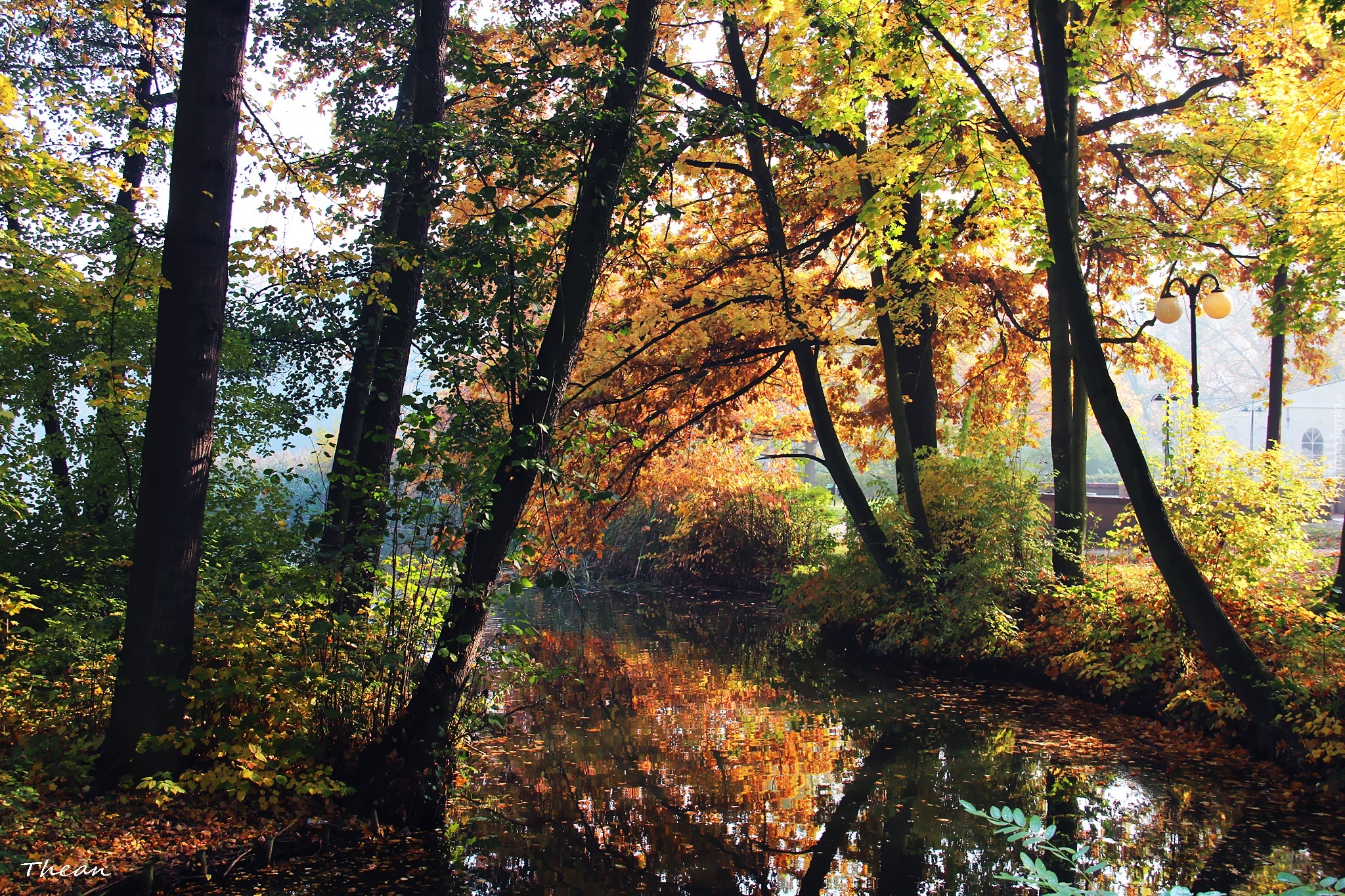 Jesienny, Park