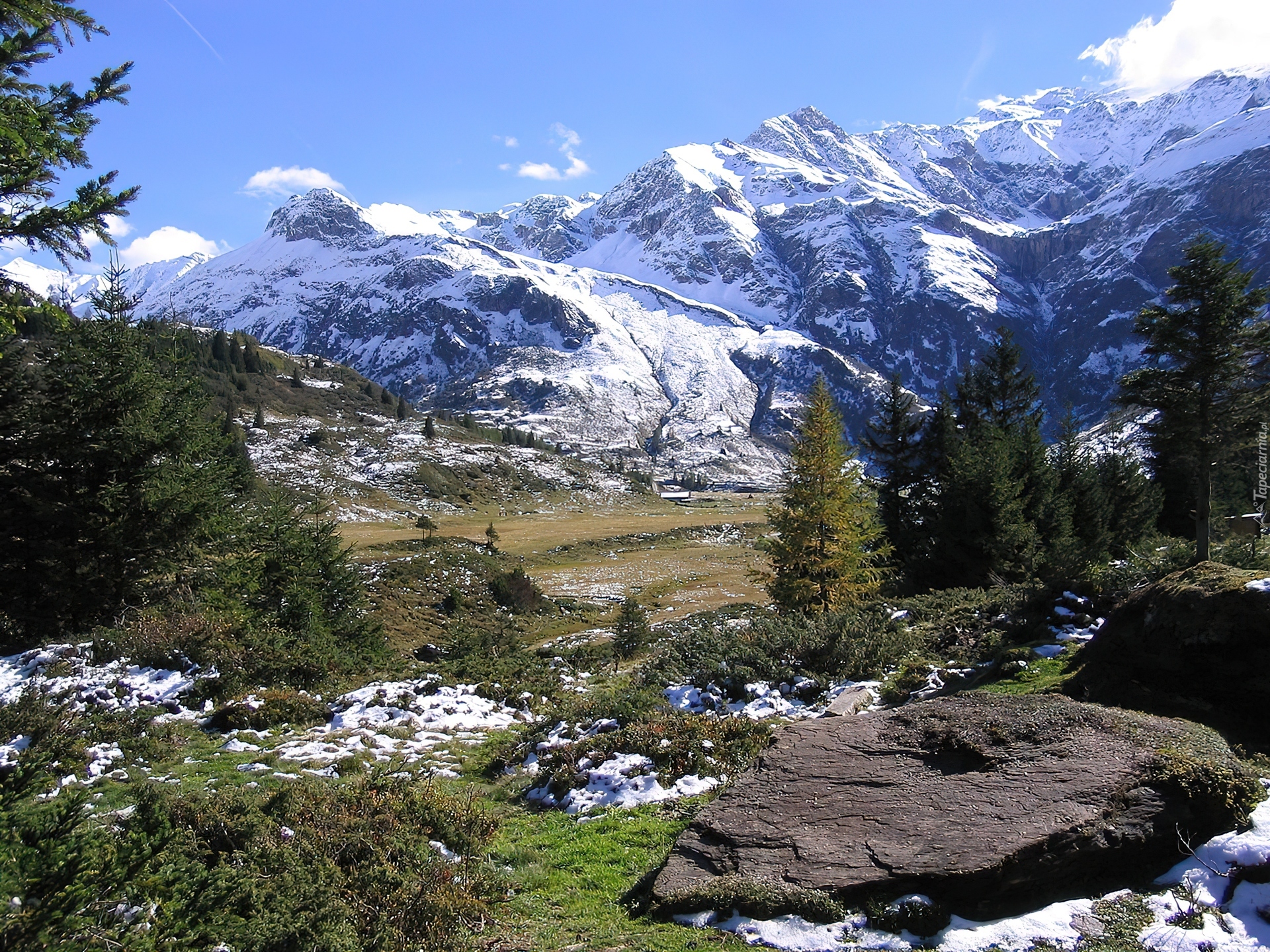 Ośnieżone, Góry, Dolina, Drzewa, Austria