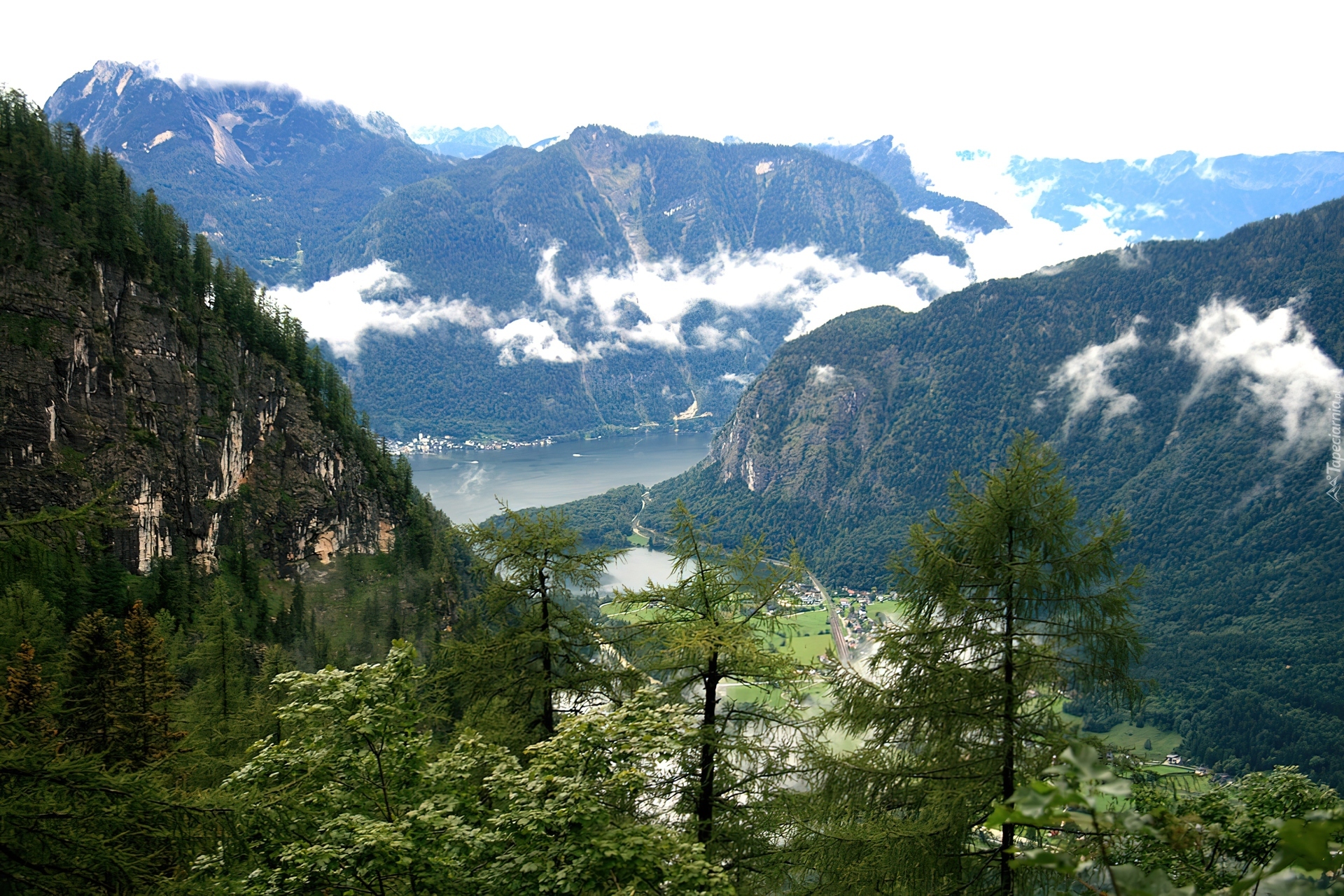 Jezioro, Góry, Drzewa, Dachstein, Austria