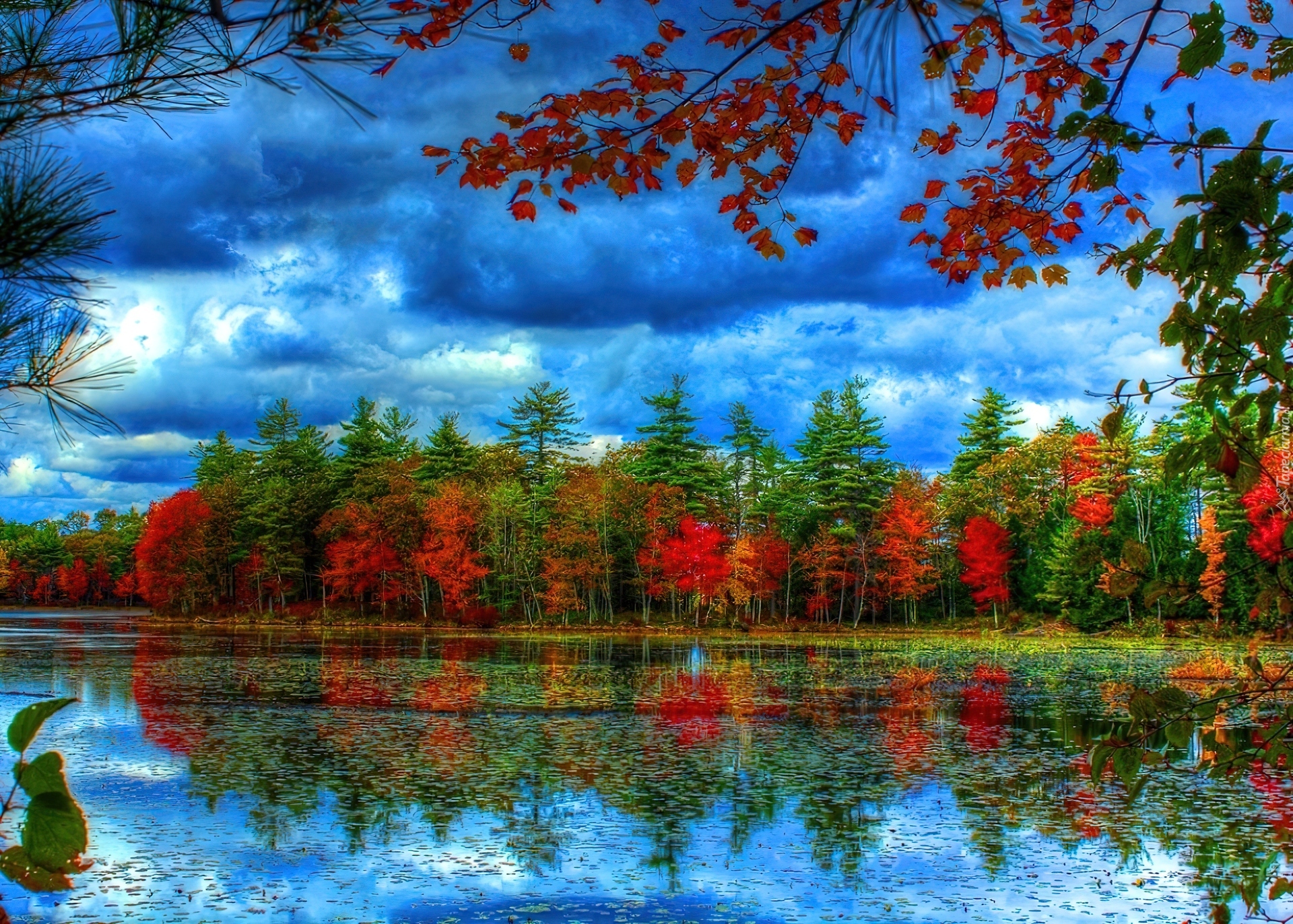 Jezioro, Drzewa, Jesień