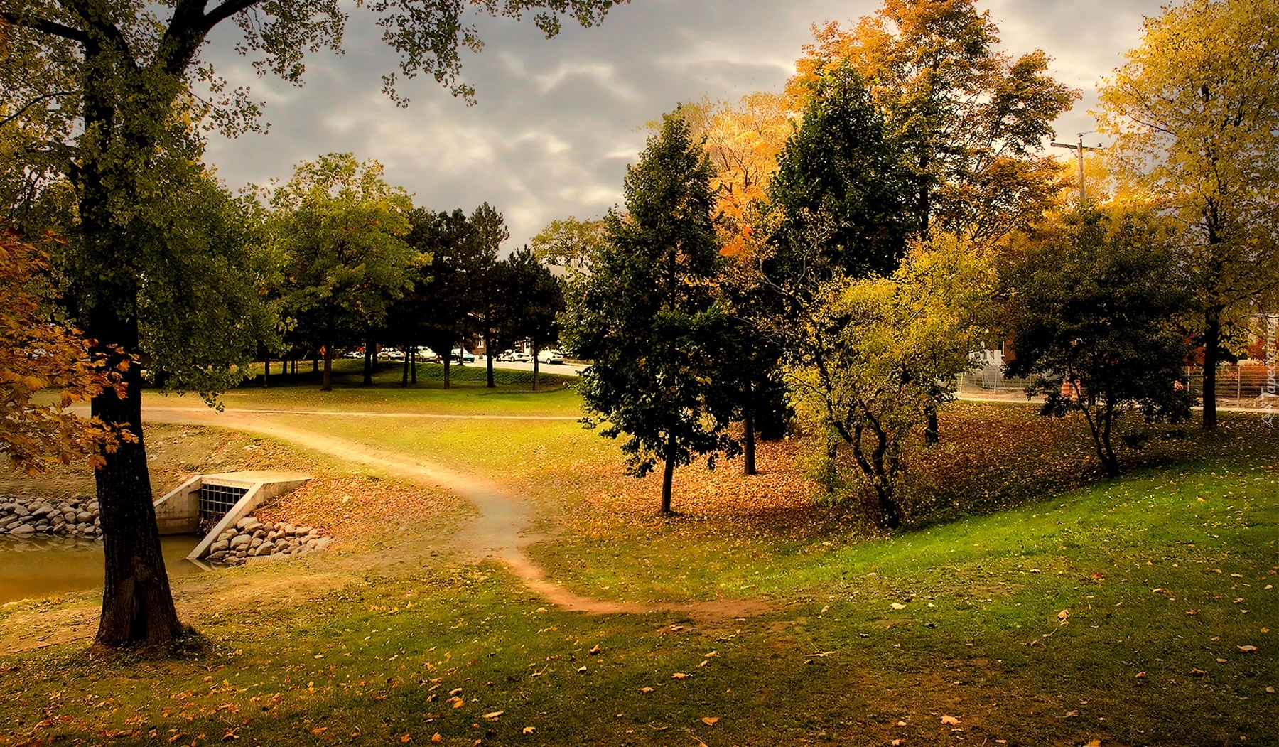 Park, Drzewa, Jesień