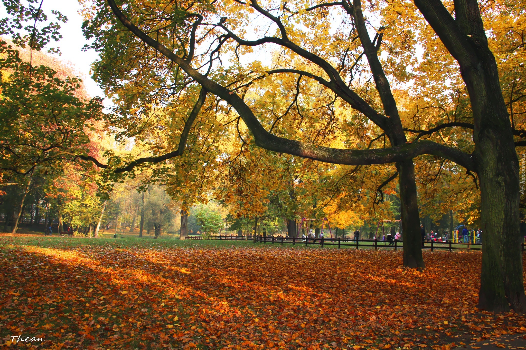 Plac, Zabaw, Jesień, Park