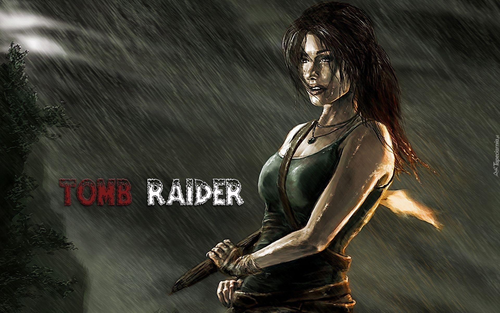 Tomb, Raider, Gra, Akcji, Kobieta