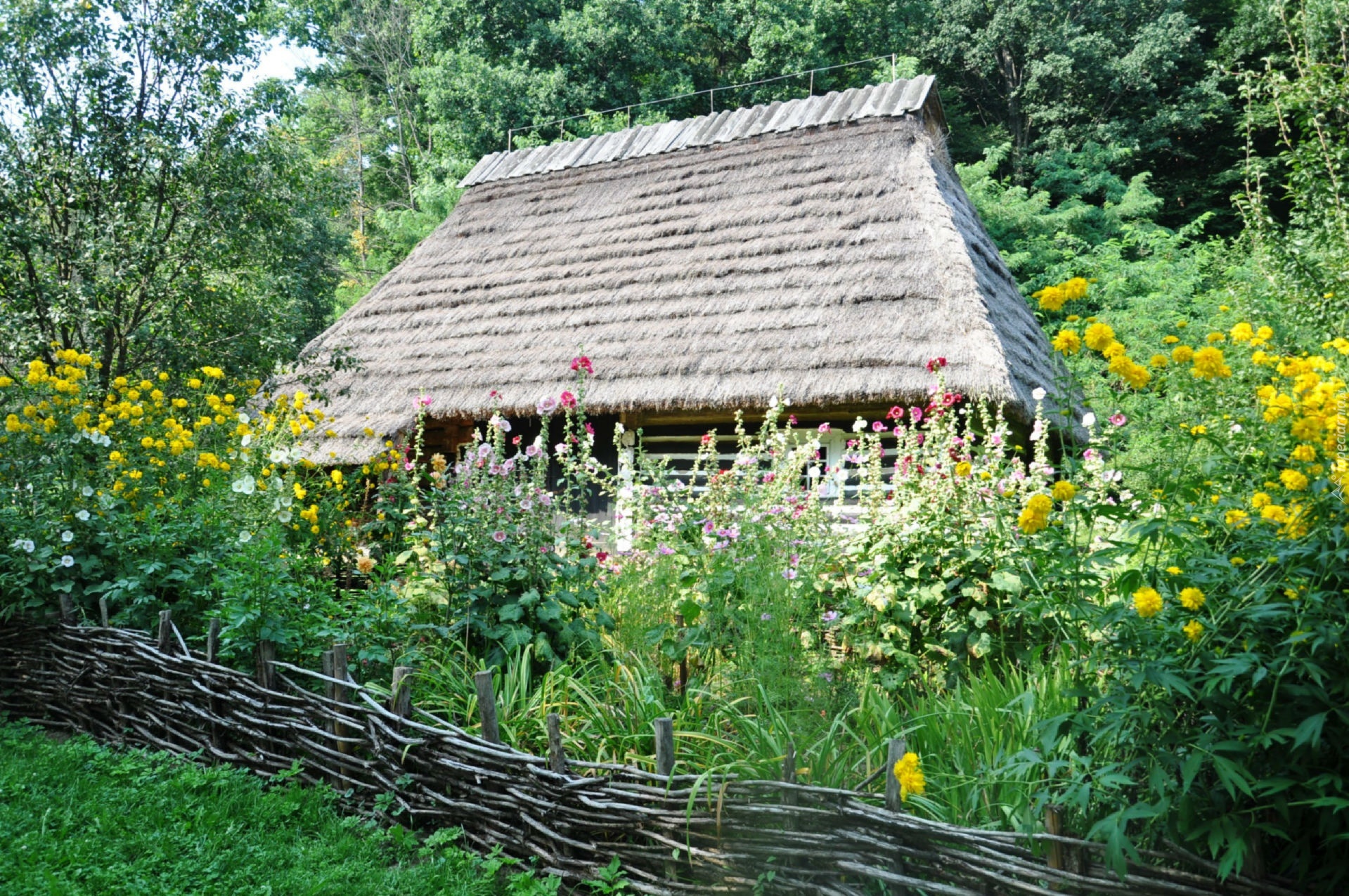 Domek, Drzewa, Kwiaty, Trawa, Płot