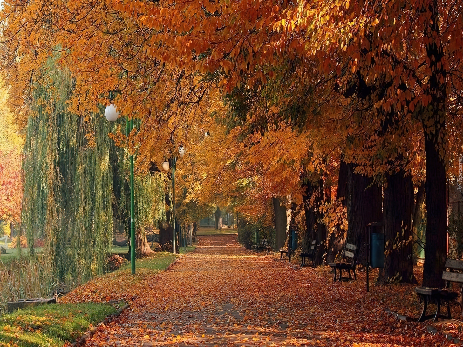 Jesień, Park, Aleja, Ławki